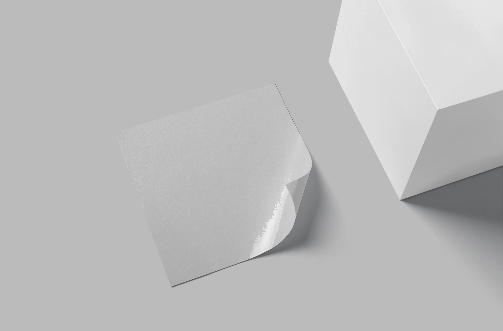 branding sticker mock-up
