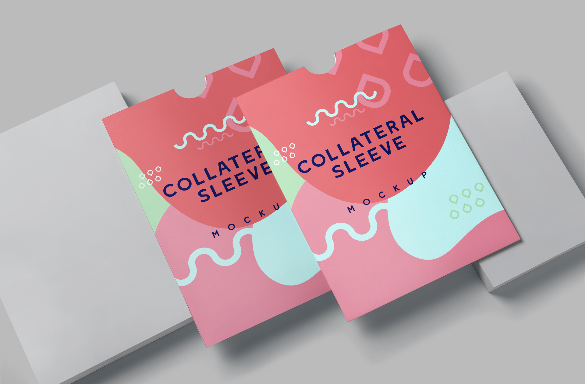 Collateral Sleeve Mockup – Angled Display