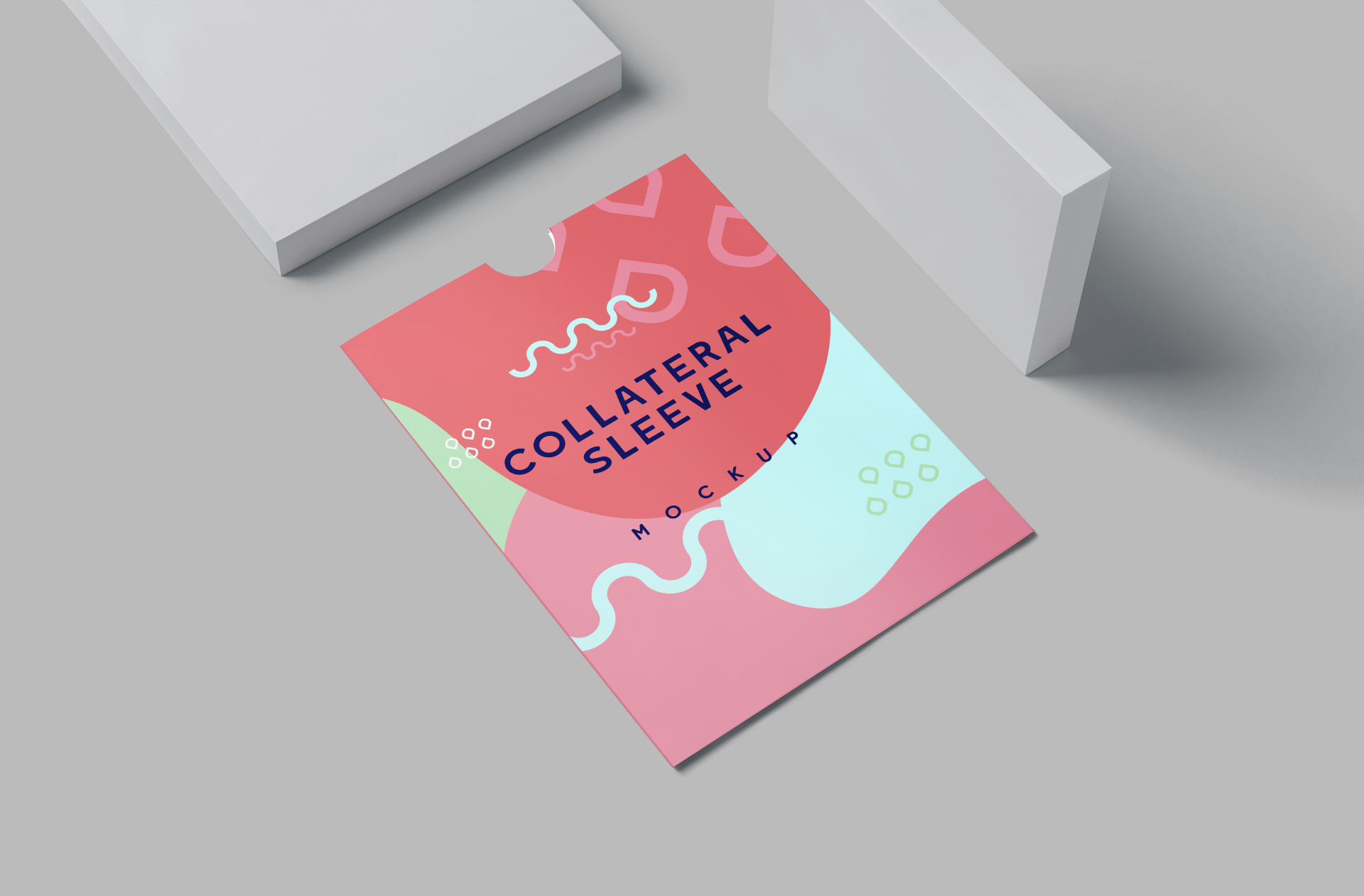 Collateral Sleeve Mockup – Flat Display