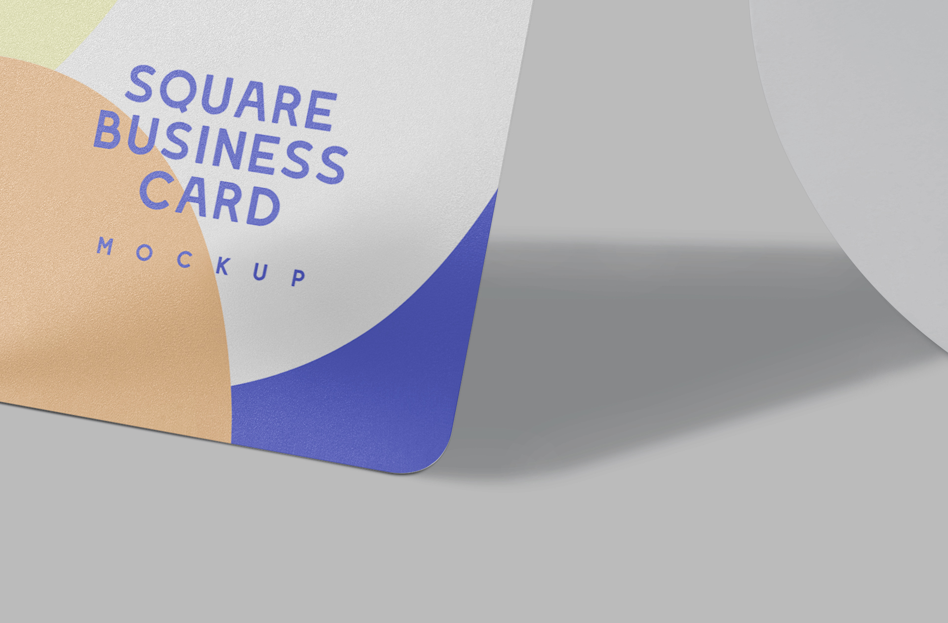 clean card layout PSD