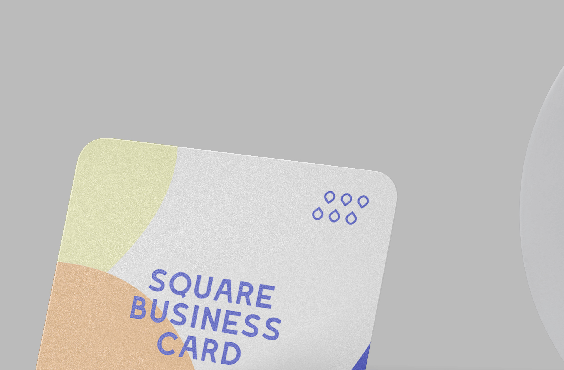 clean card layout PSD