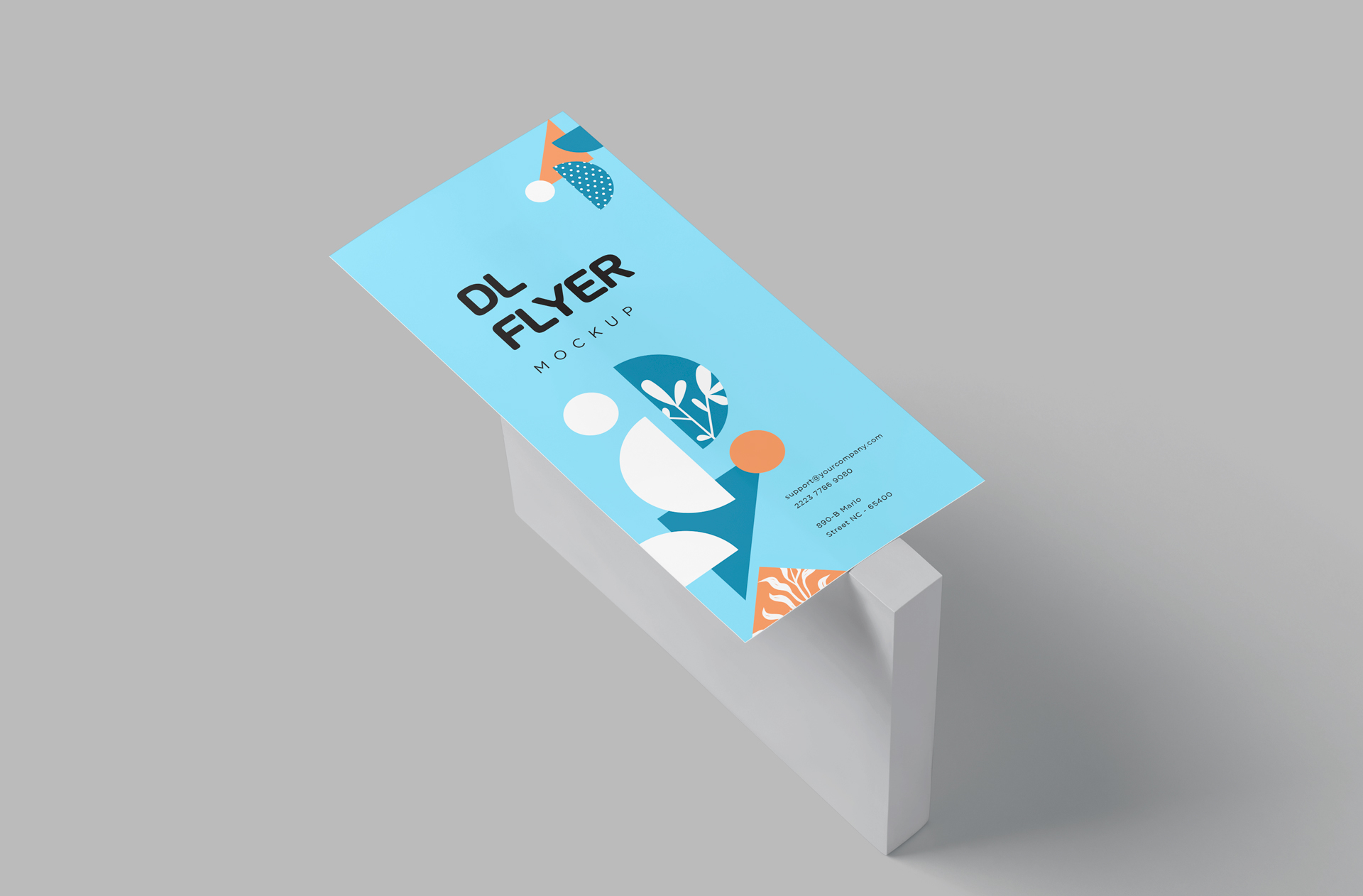 DL Flyer Mockup with Realistic Presentation
