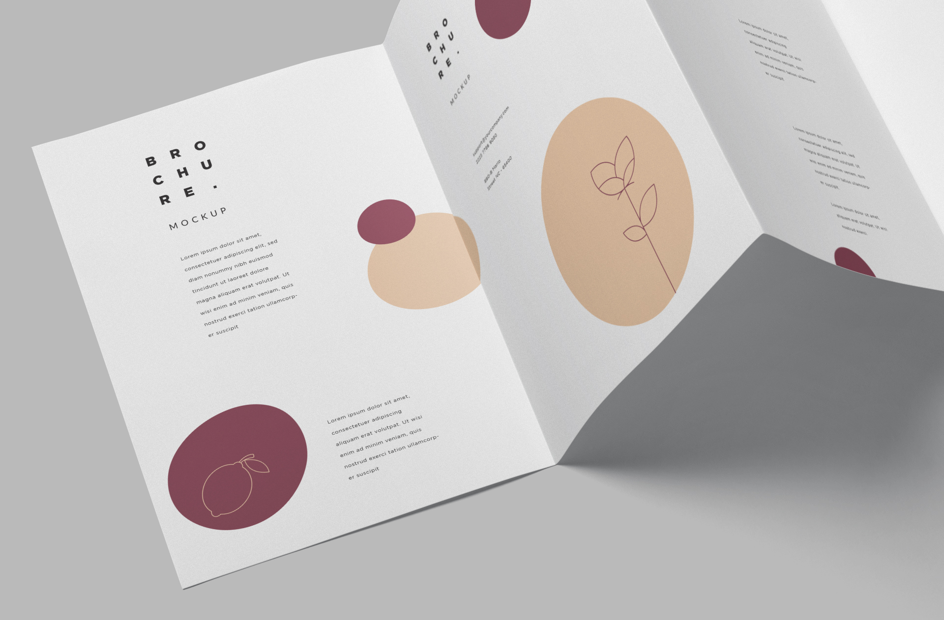 premium brochure layout PSD
