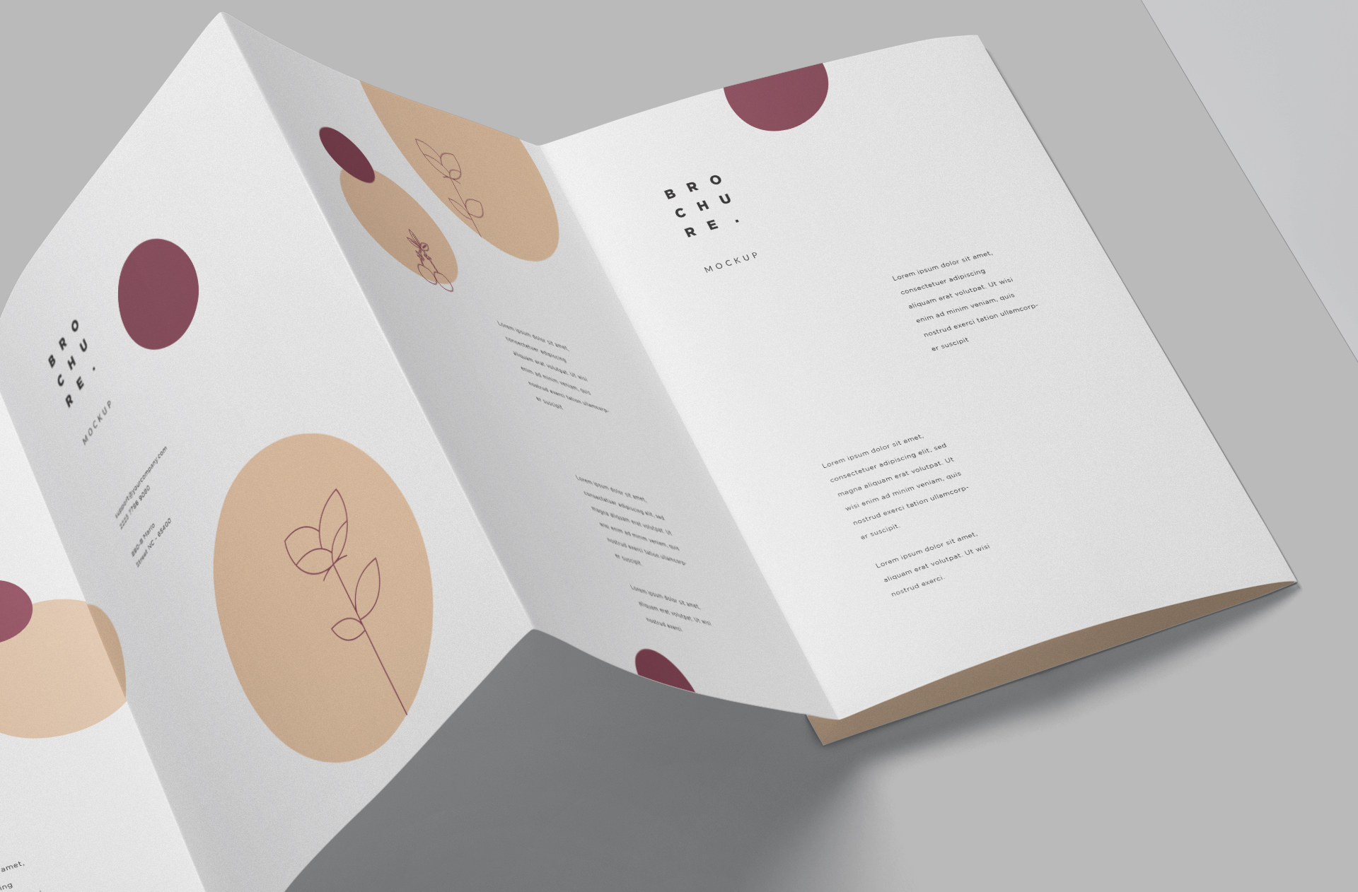 premium brochure layout PSD