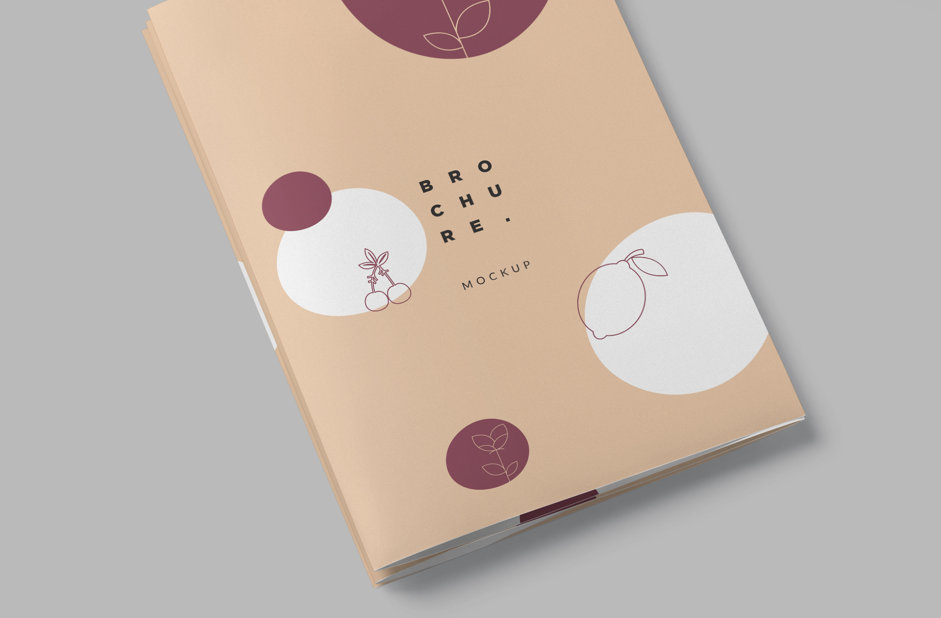 customizable brochure template