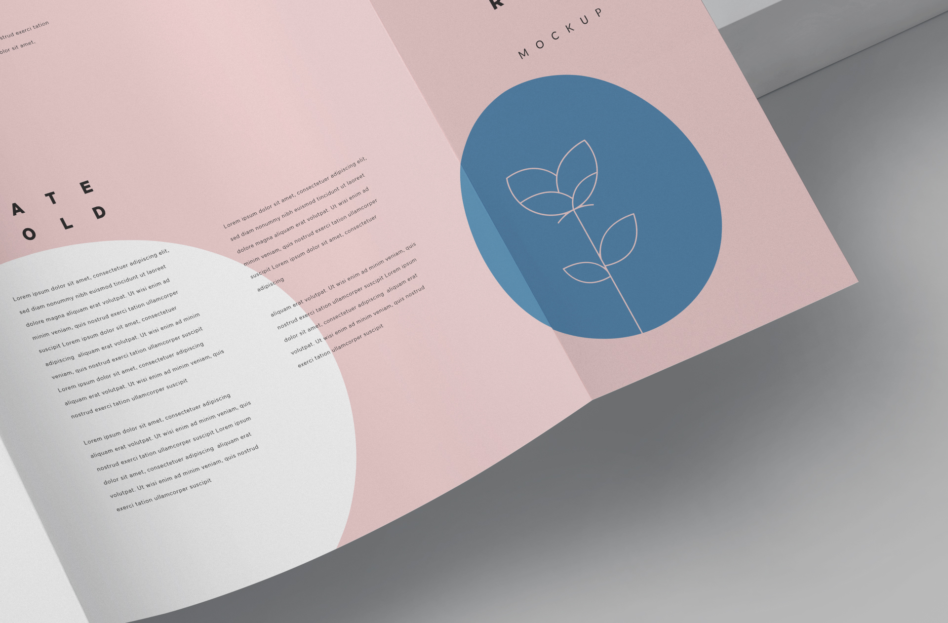 corporate promotional brochure PSD