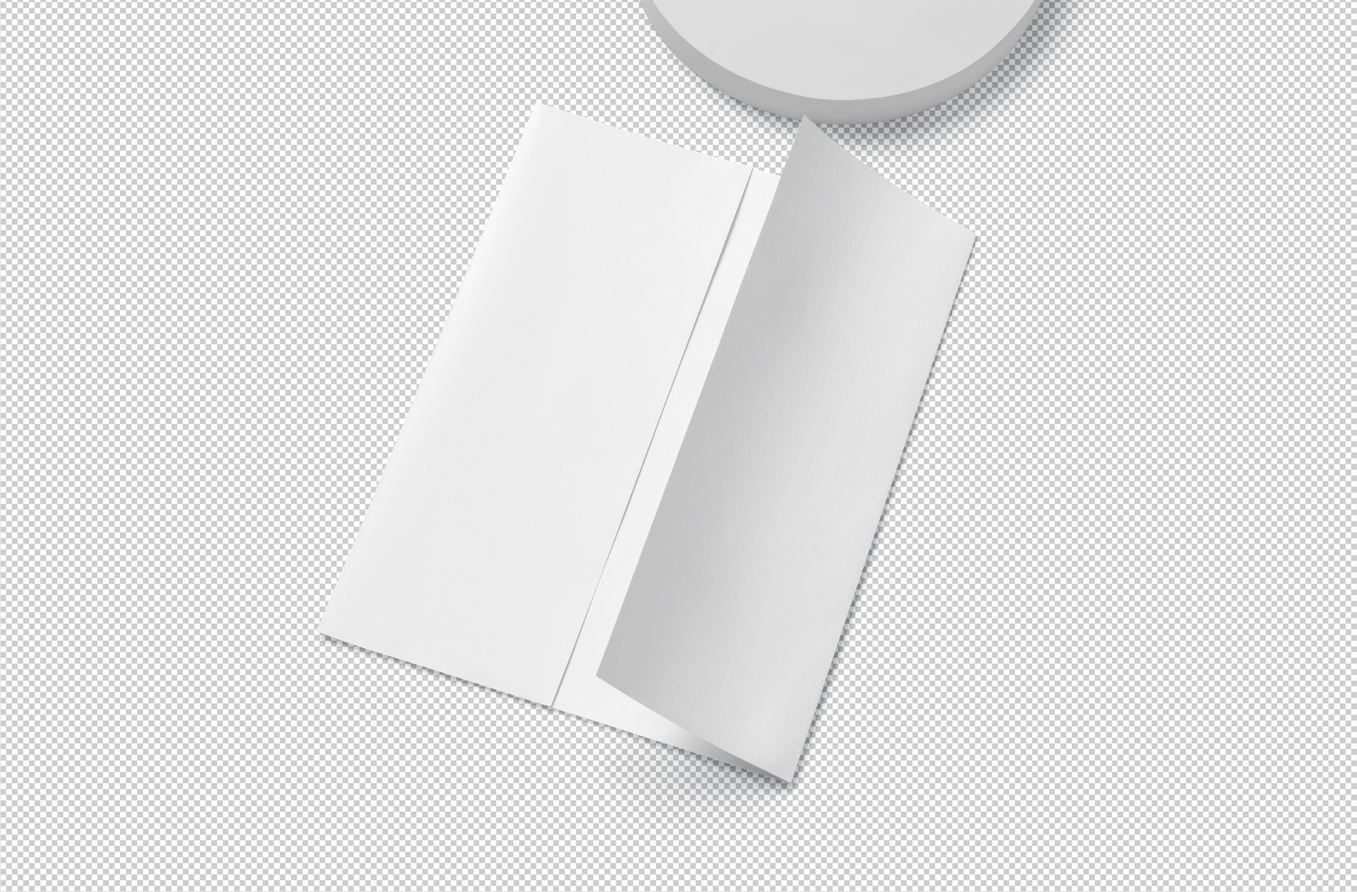 corporate branding mockup