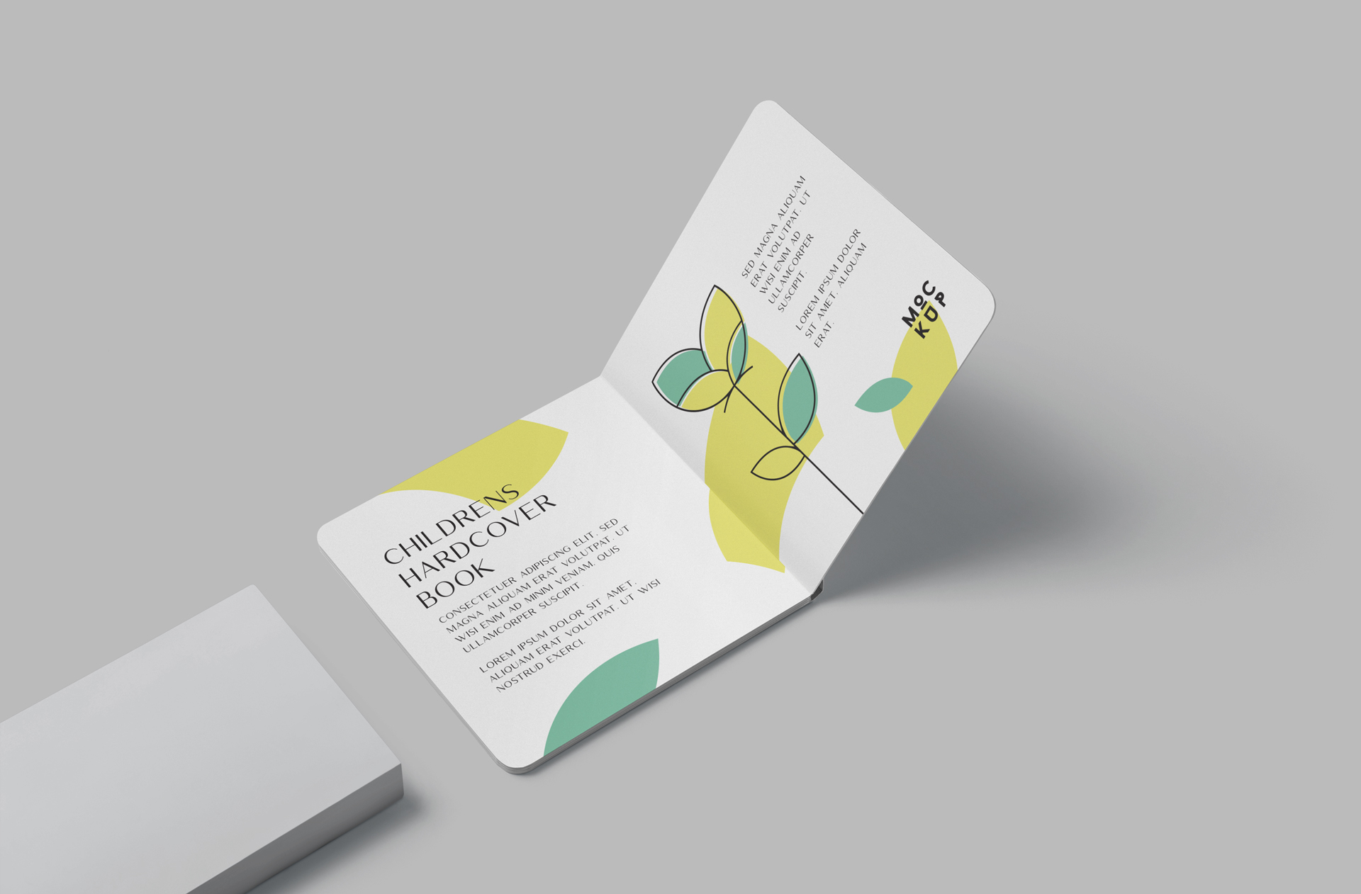 Modern Childrens Hardcover Book Mockup for Educational Use