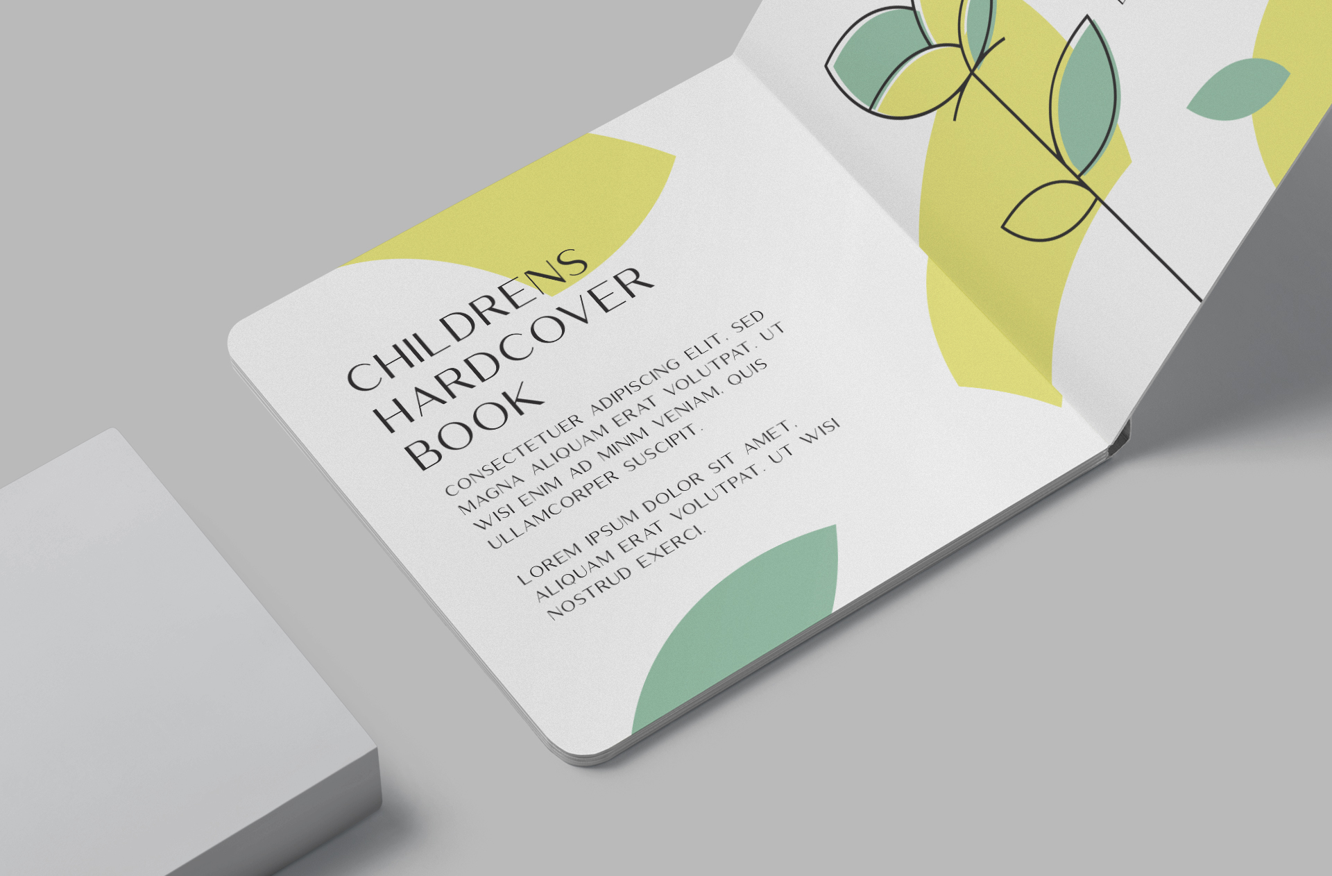 hardcover book mockup