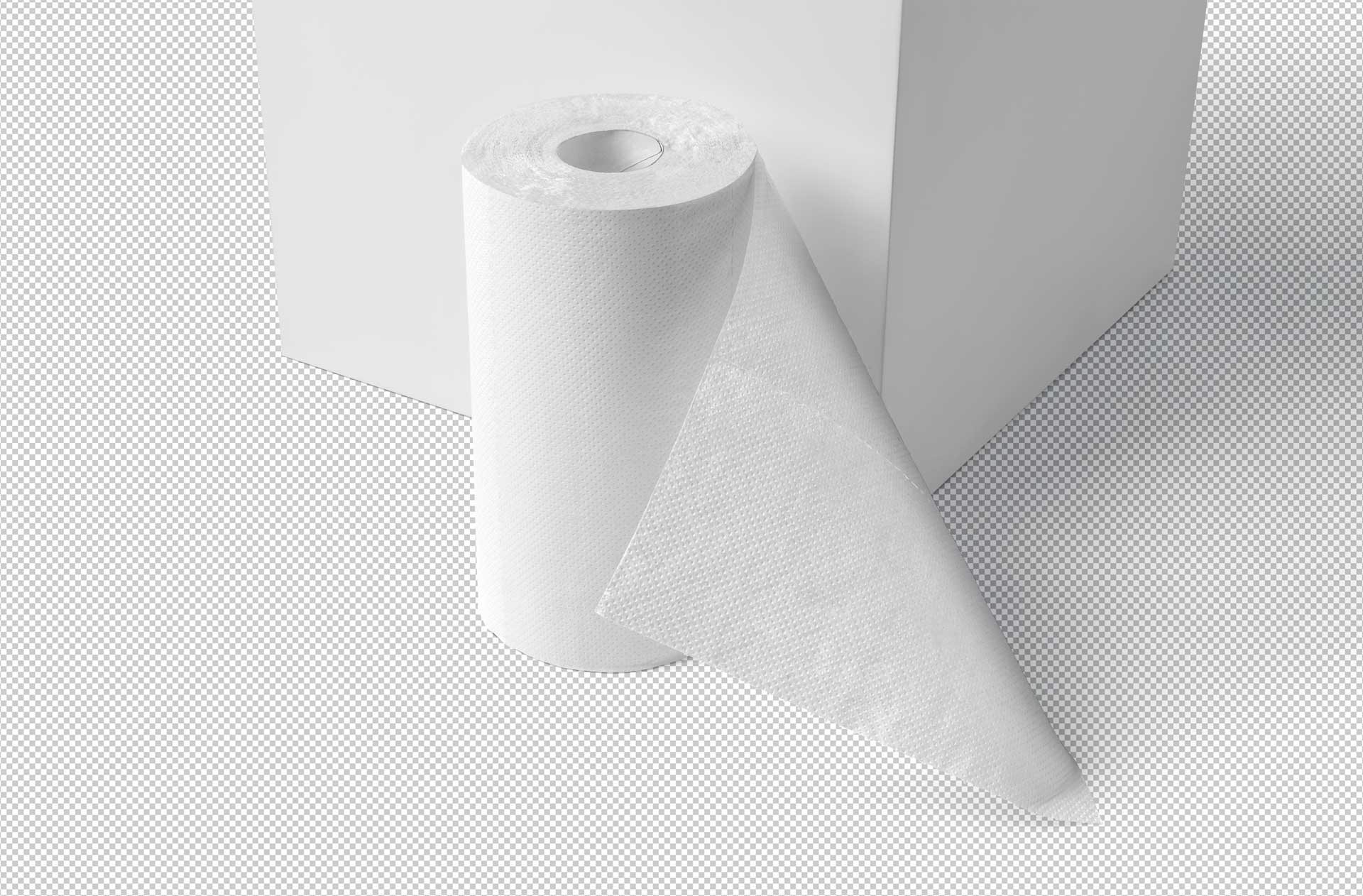 bathroom paper mockup