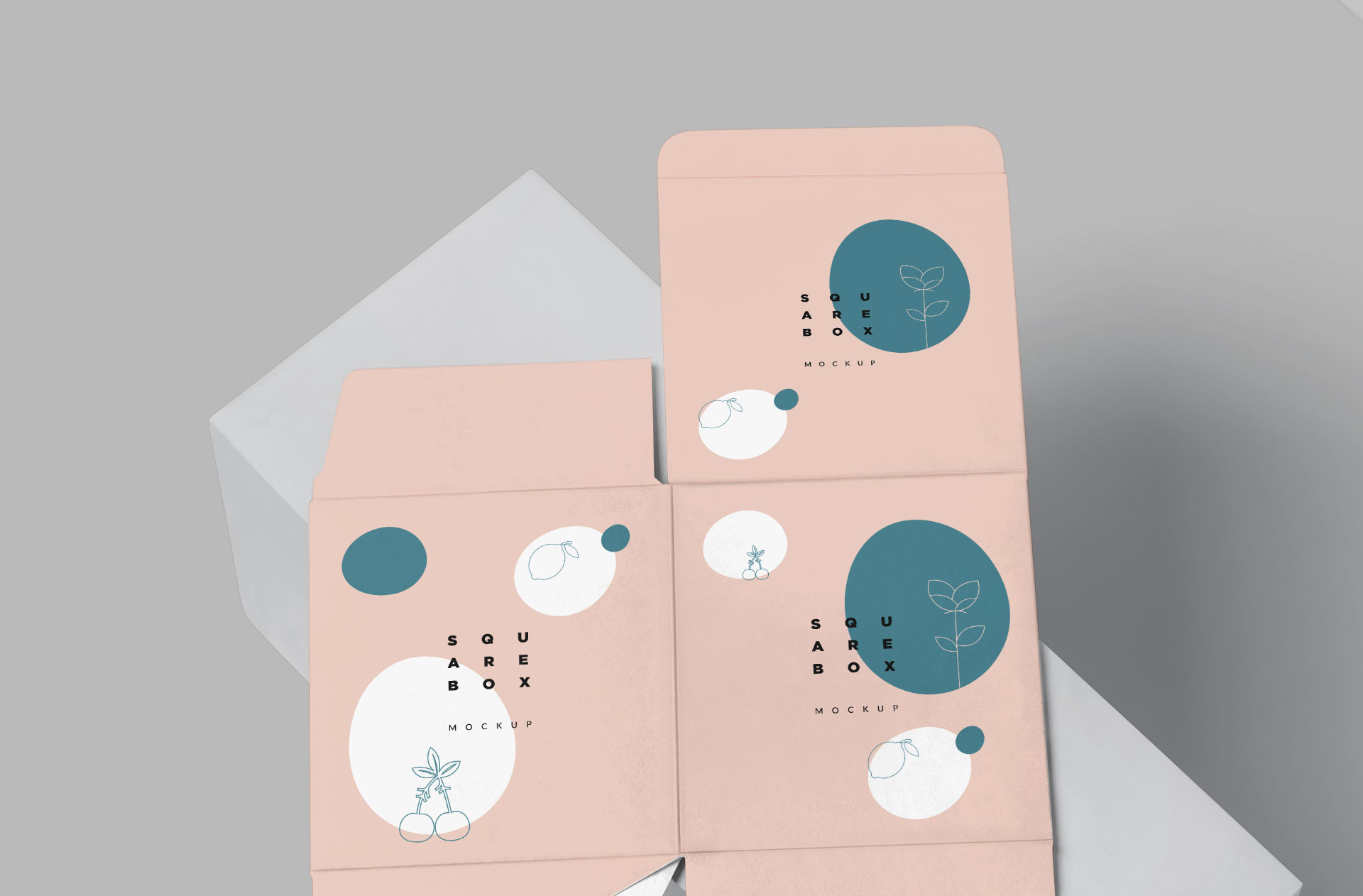 box template mockup