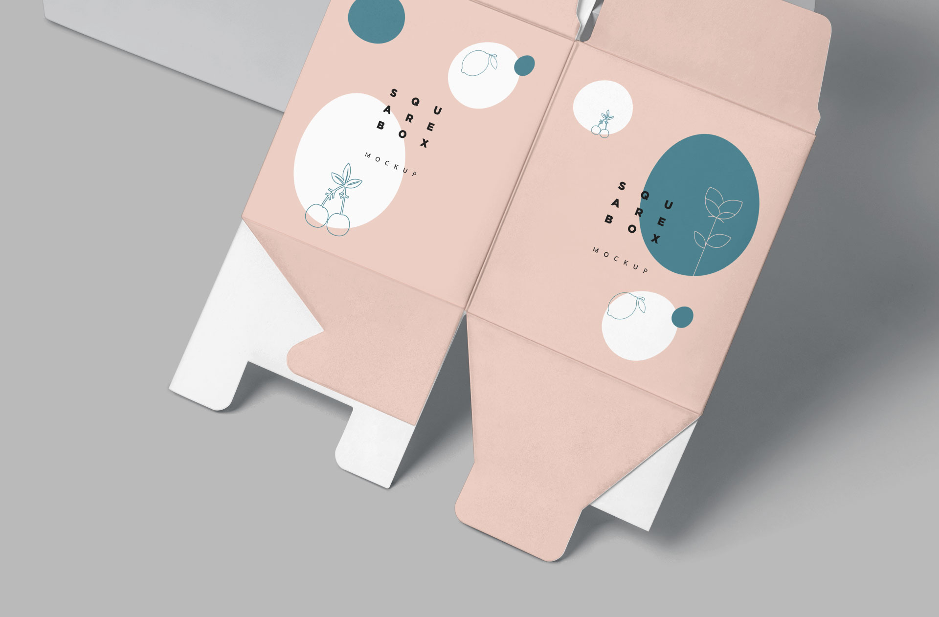 box packaging mockup