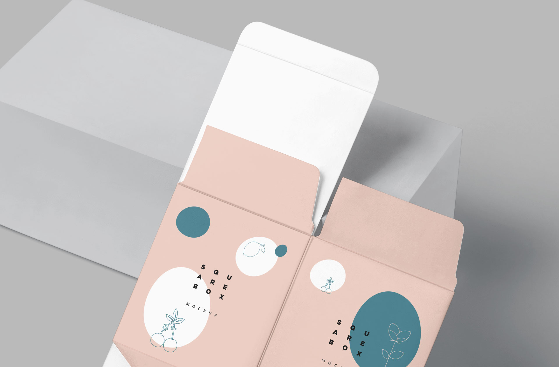 box packaging mockup