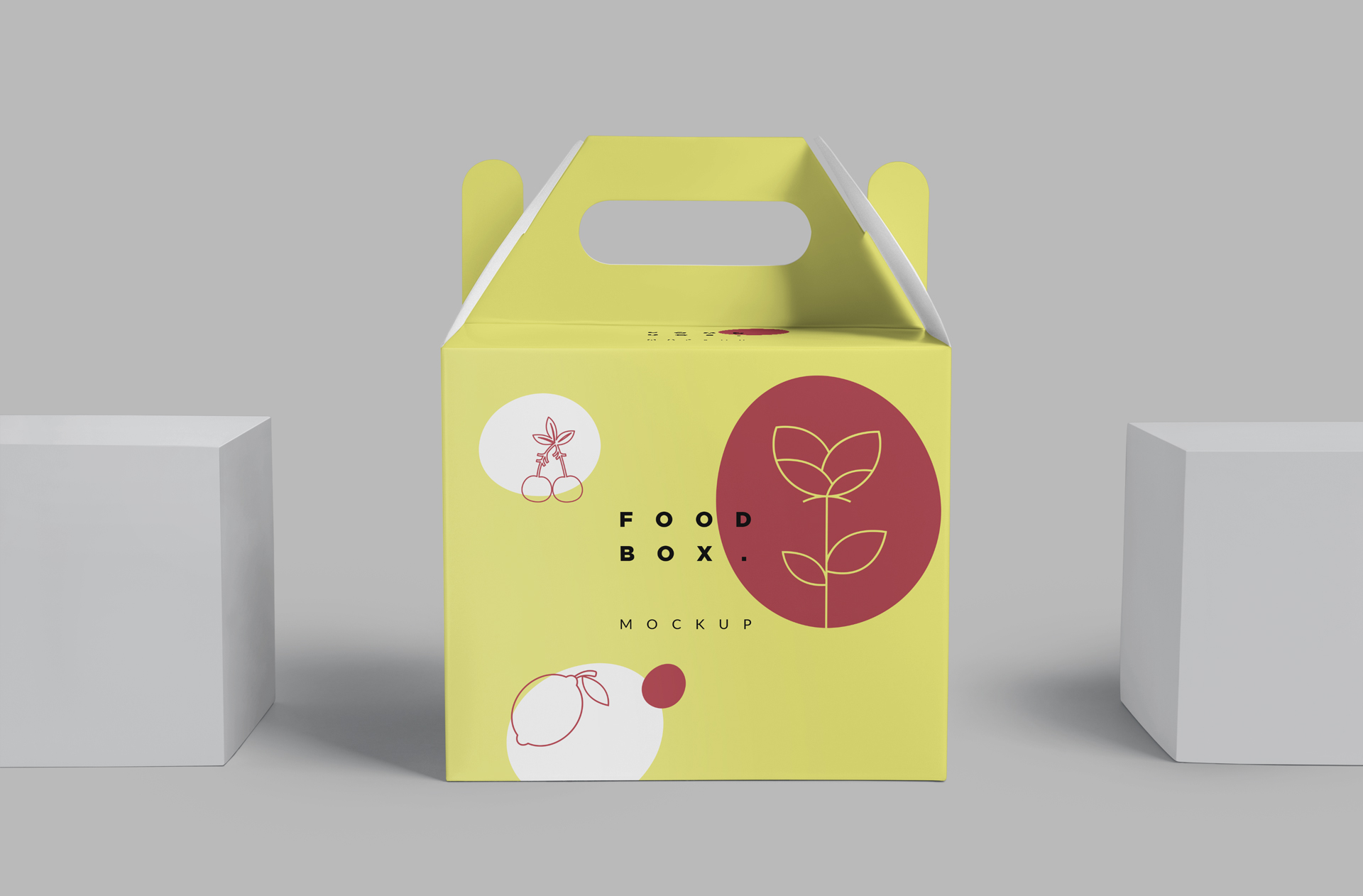 Eco-Friendly Food Packaging Box Mockup for Branding