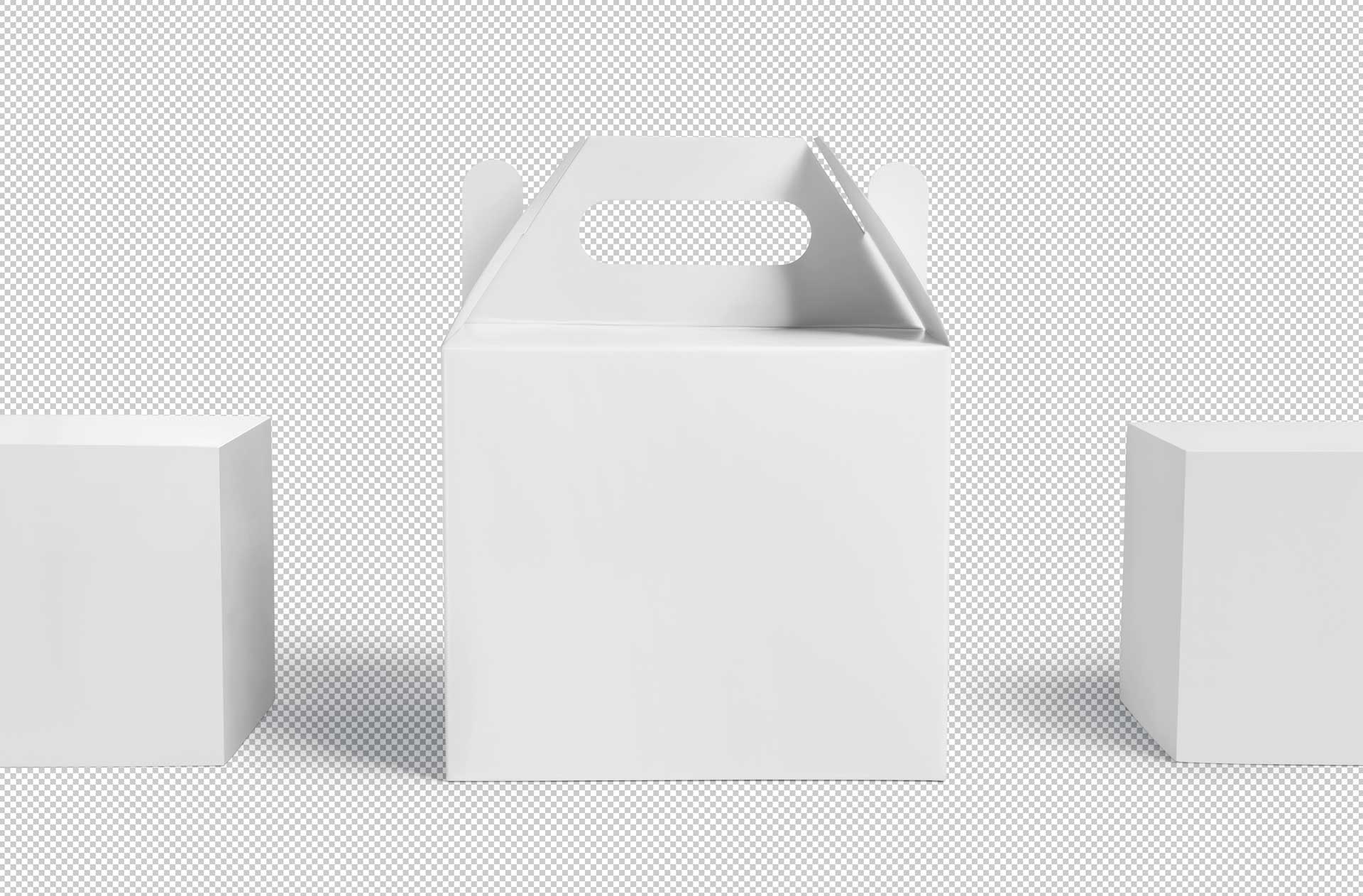 delivery packaging mockup