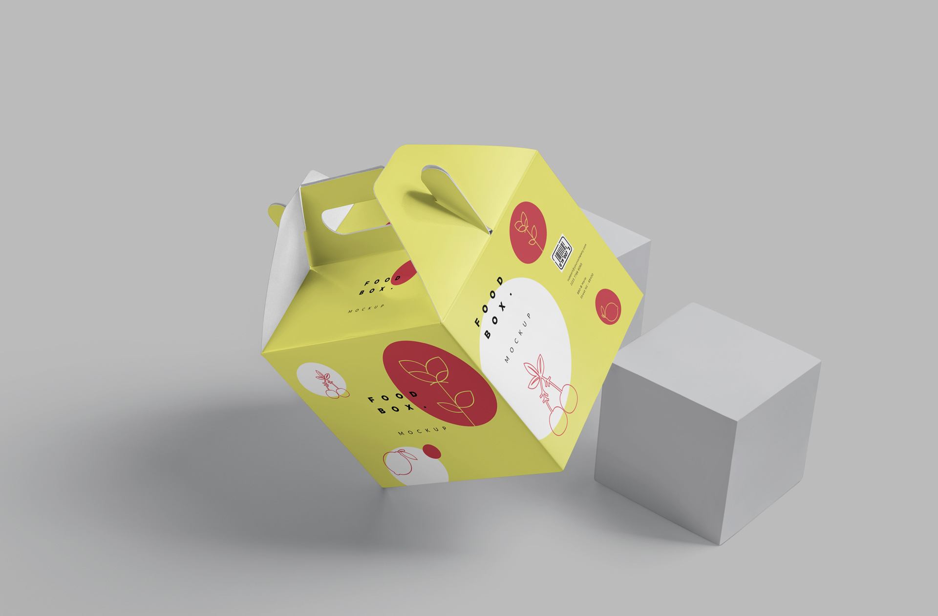 Professional Food Box Mockup with Detailed Design