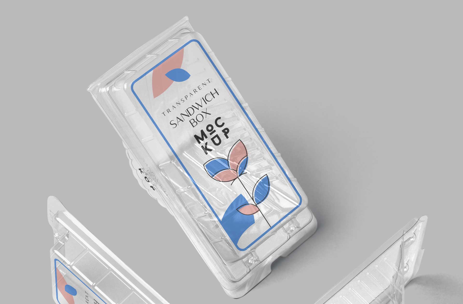 clean sandwich box design mockup