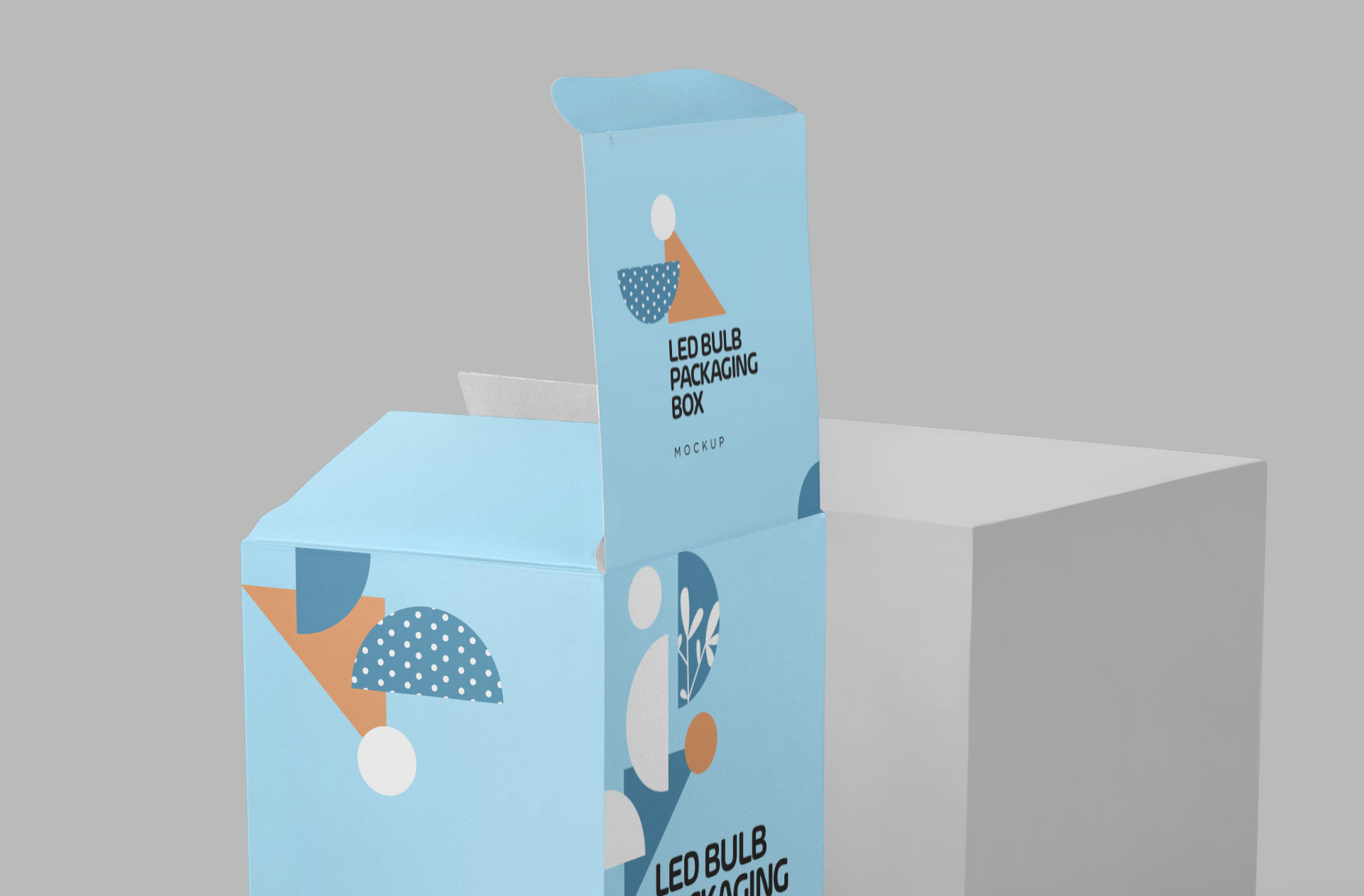cardboard LED bulb box mock-up