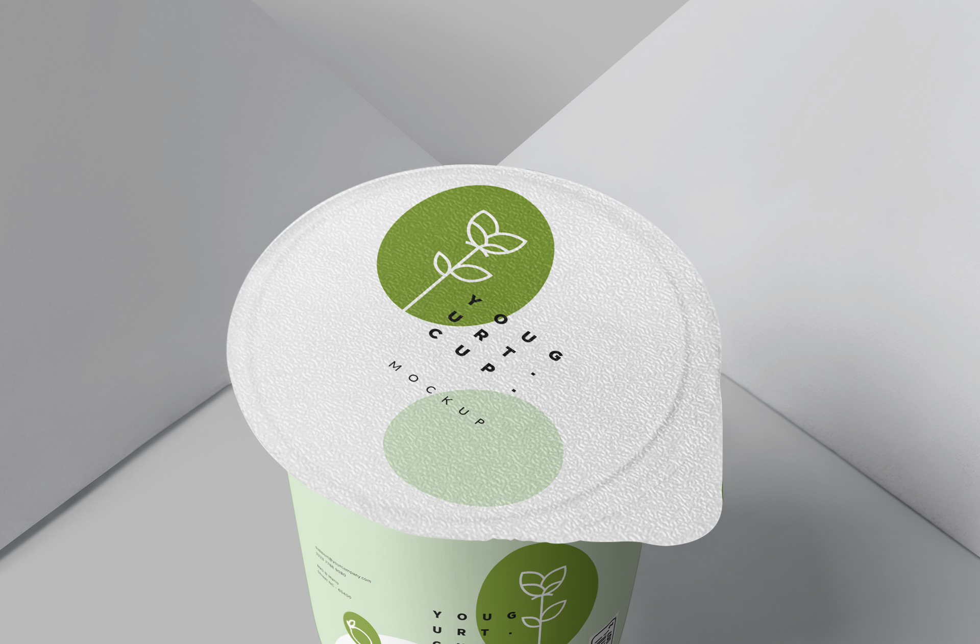 food container mock-up