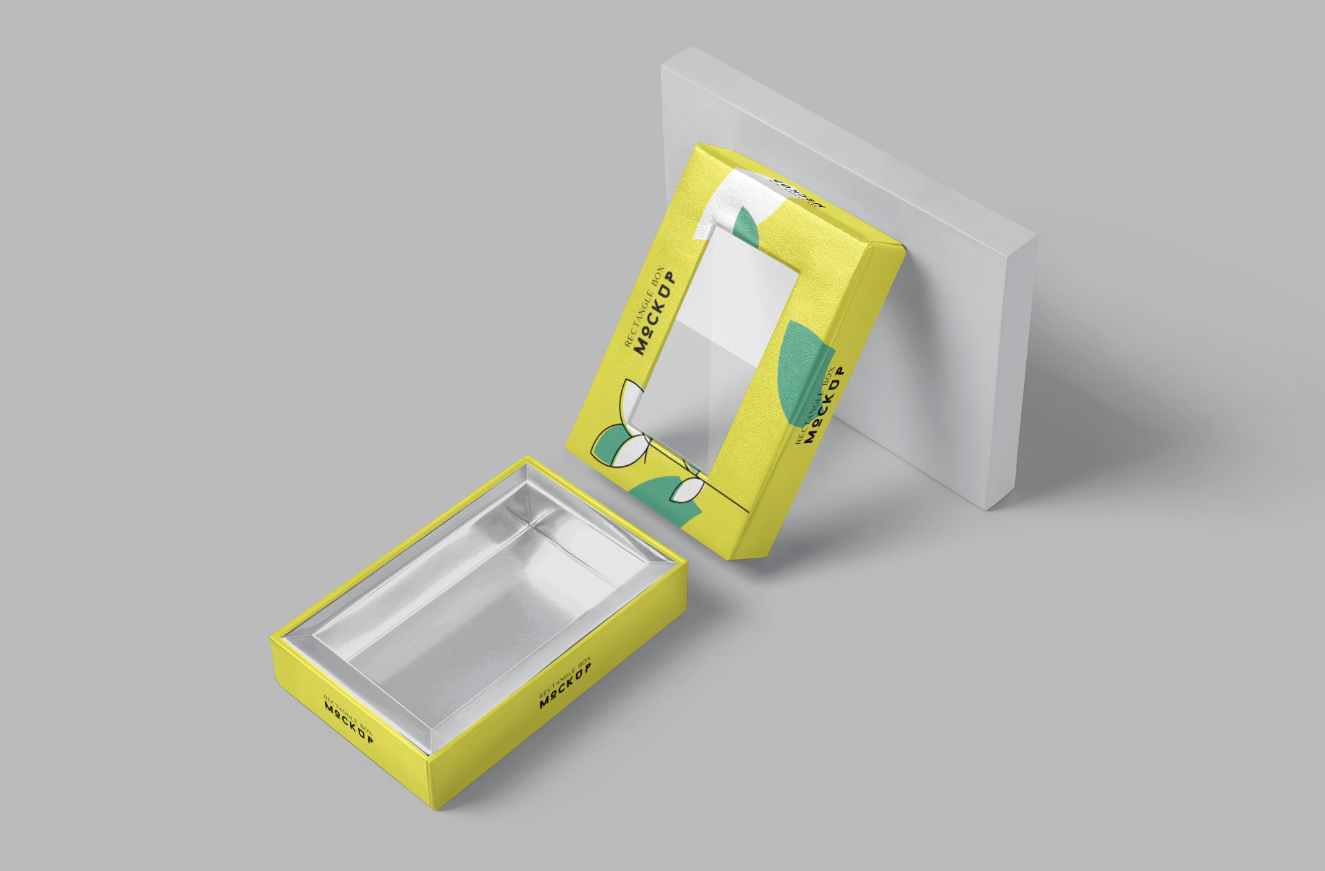Realistic Rectangle Box with Clear Window Mockup
