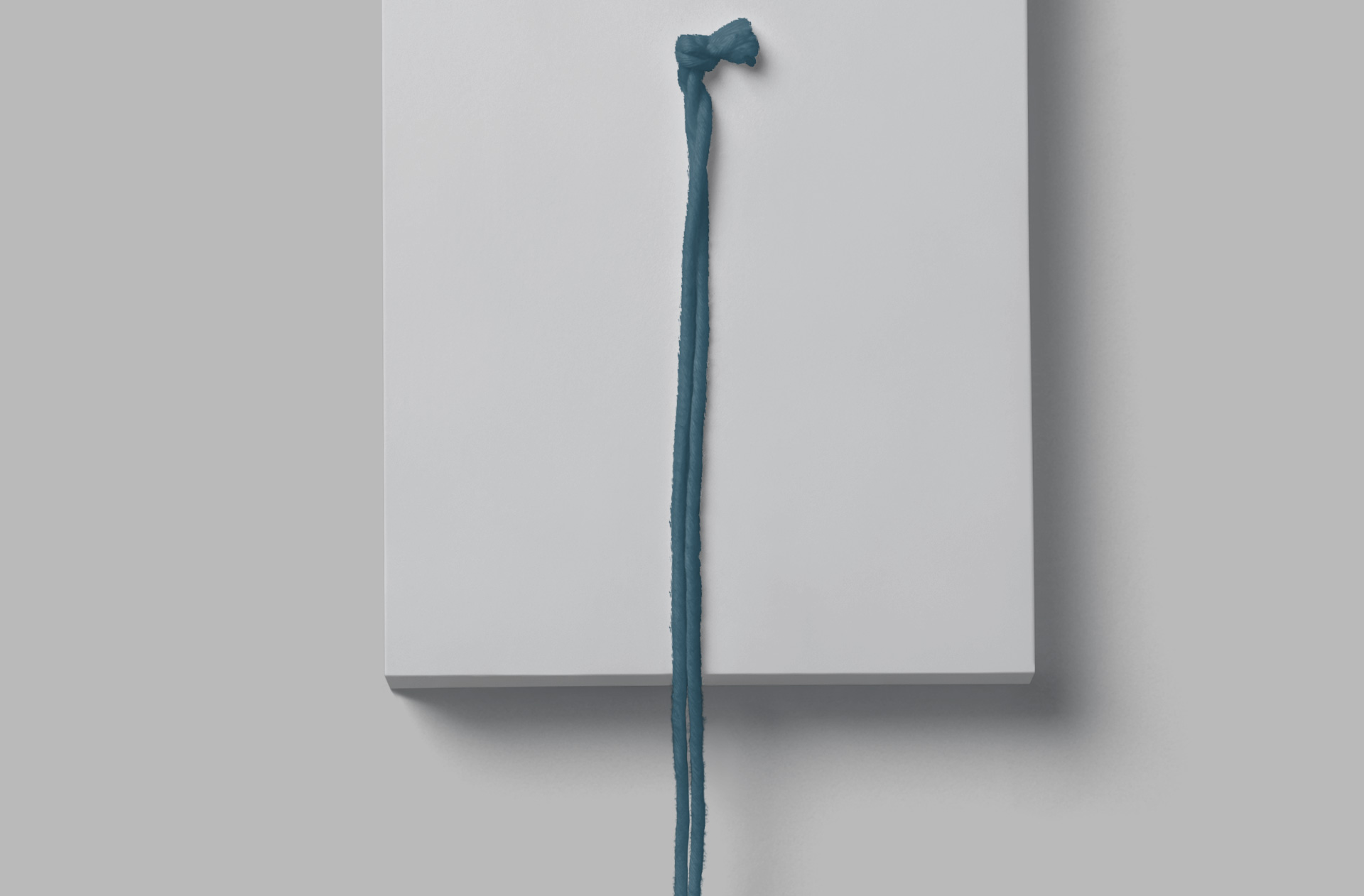 hanging tag mock-up