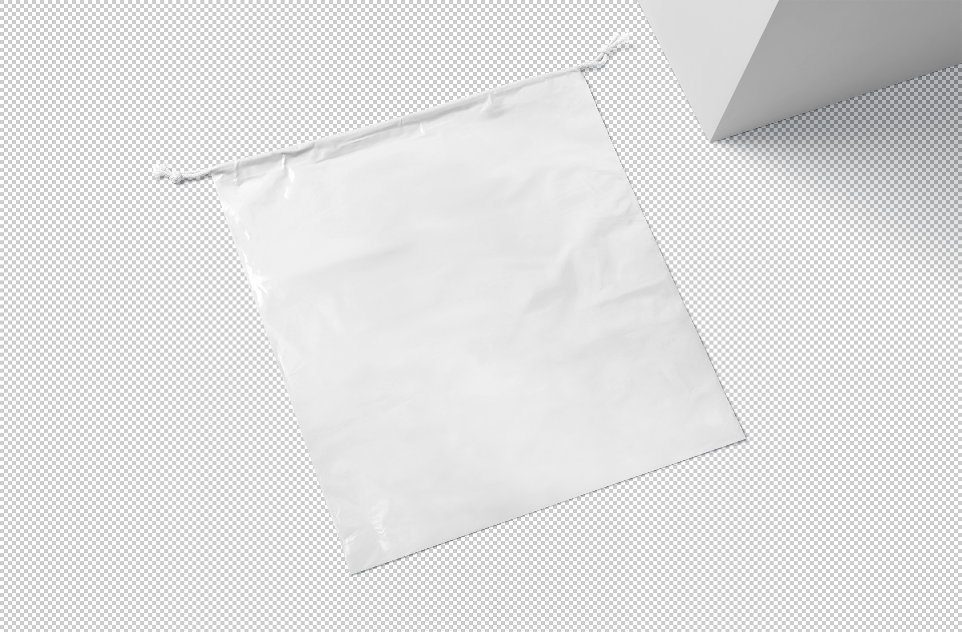 bag branding PSD