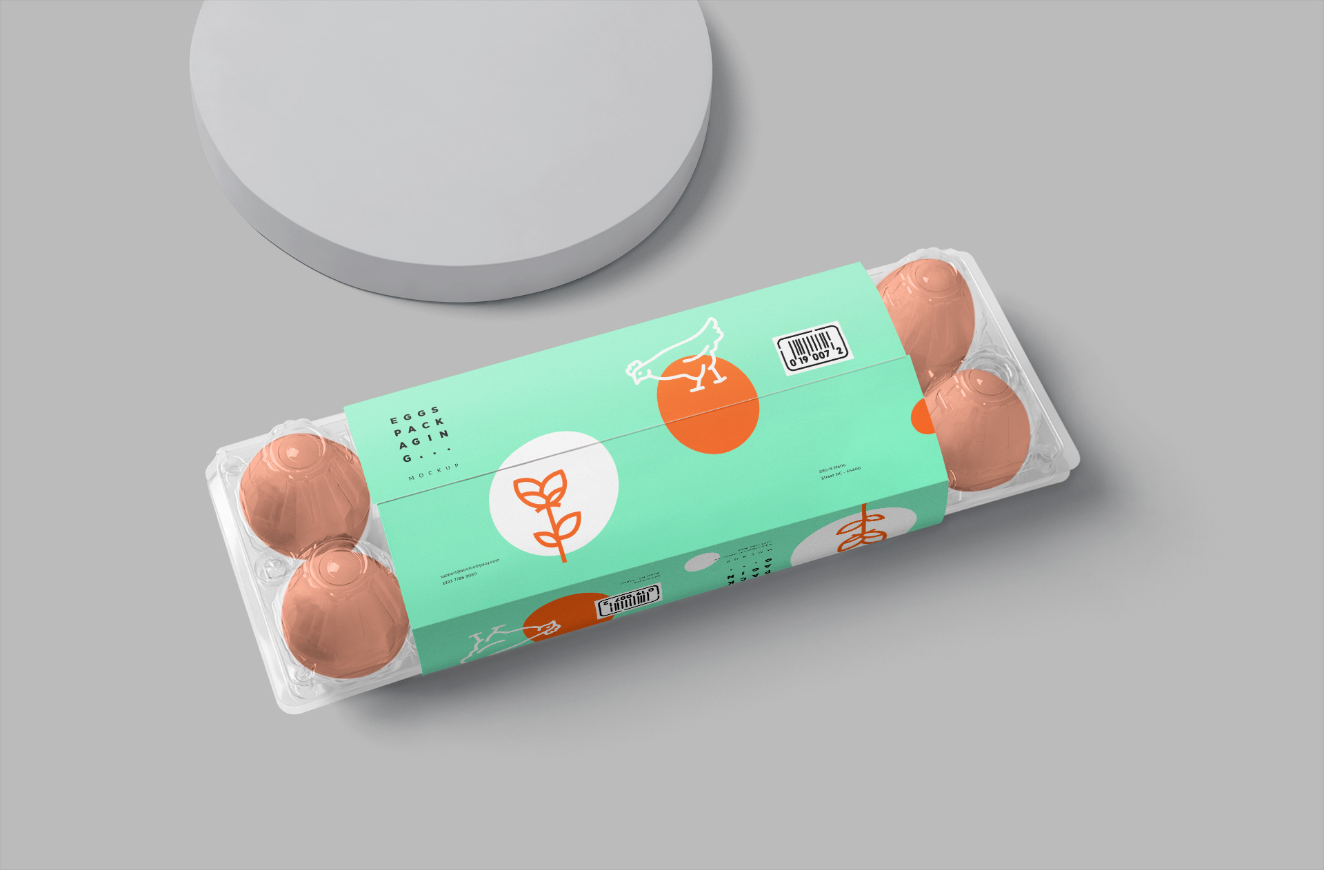 Realistic Clear Egg Tray Packaging Mockup