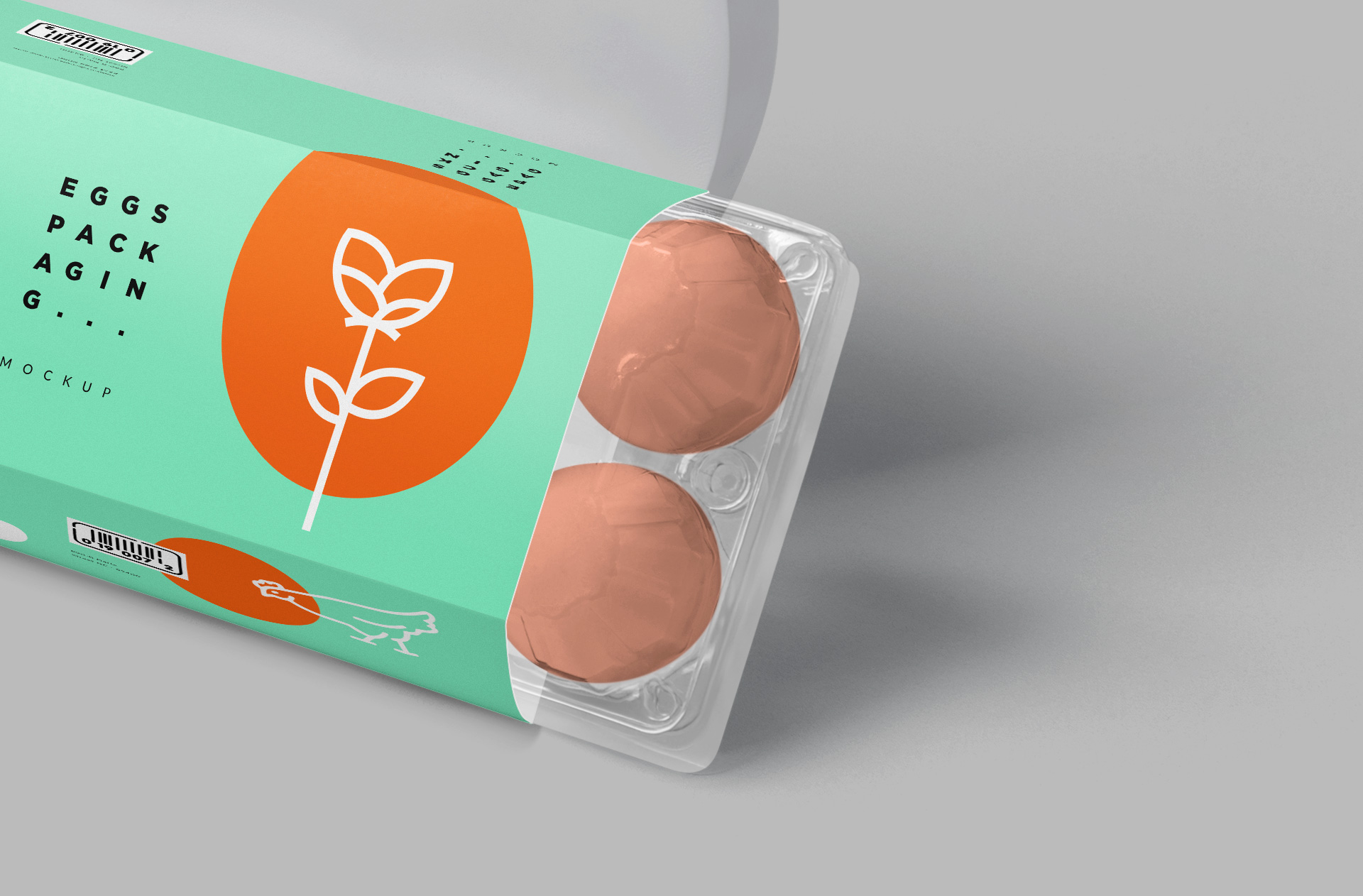 clear plastic egg tray mock-up
