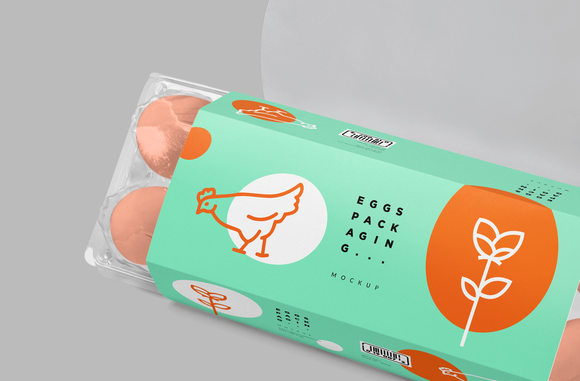 clear plastic egg tray mock-up