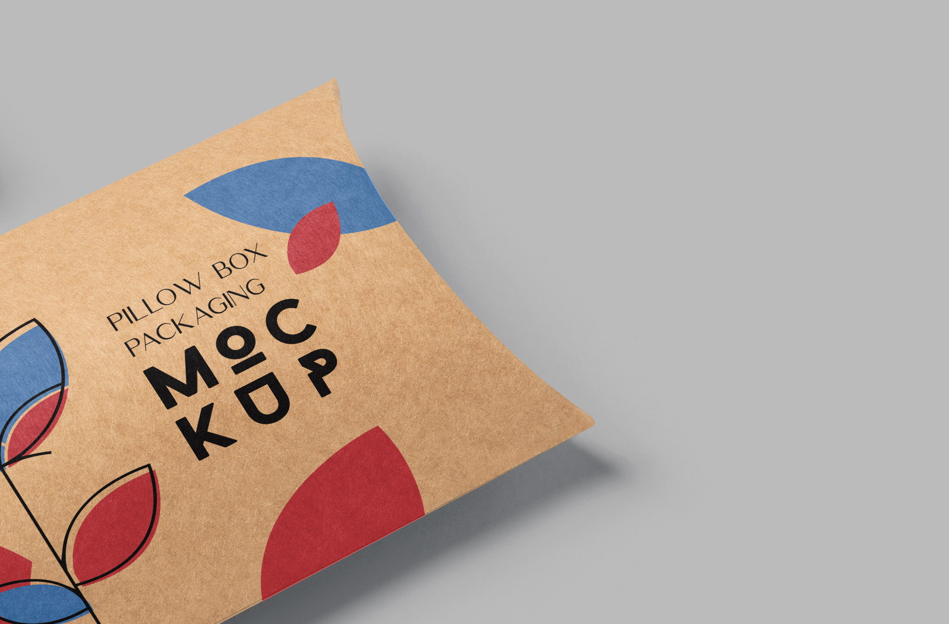 clear egg container design mock-up