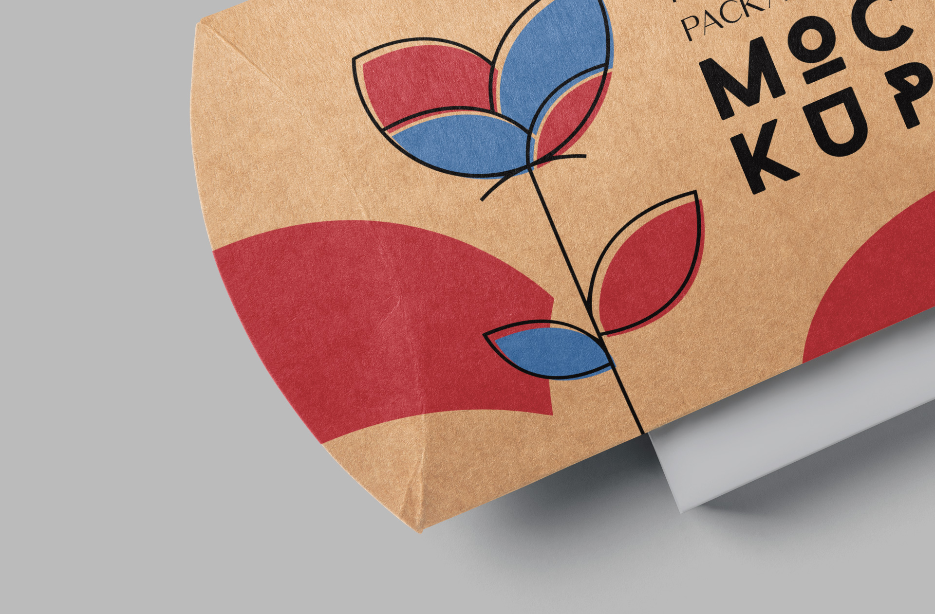 creative egg box design PSD mock-up