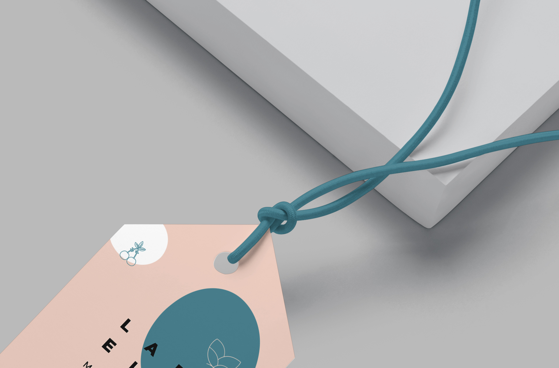 apparel tag mock-up