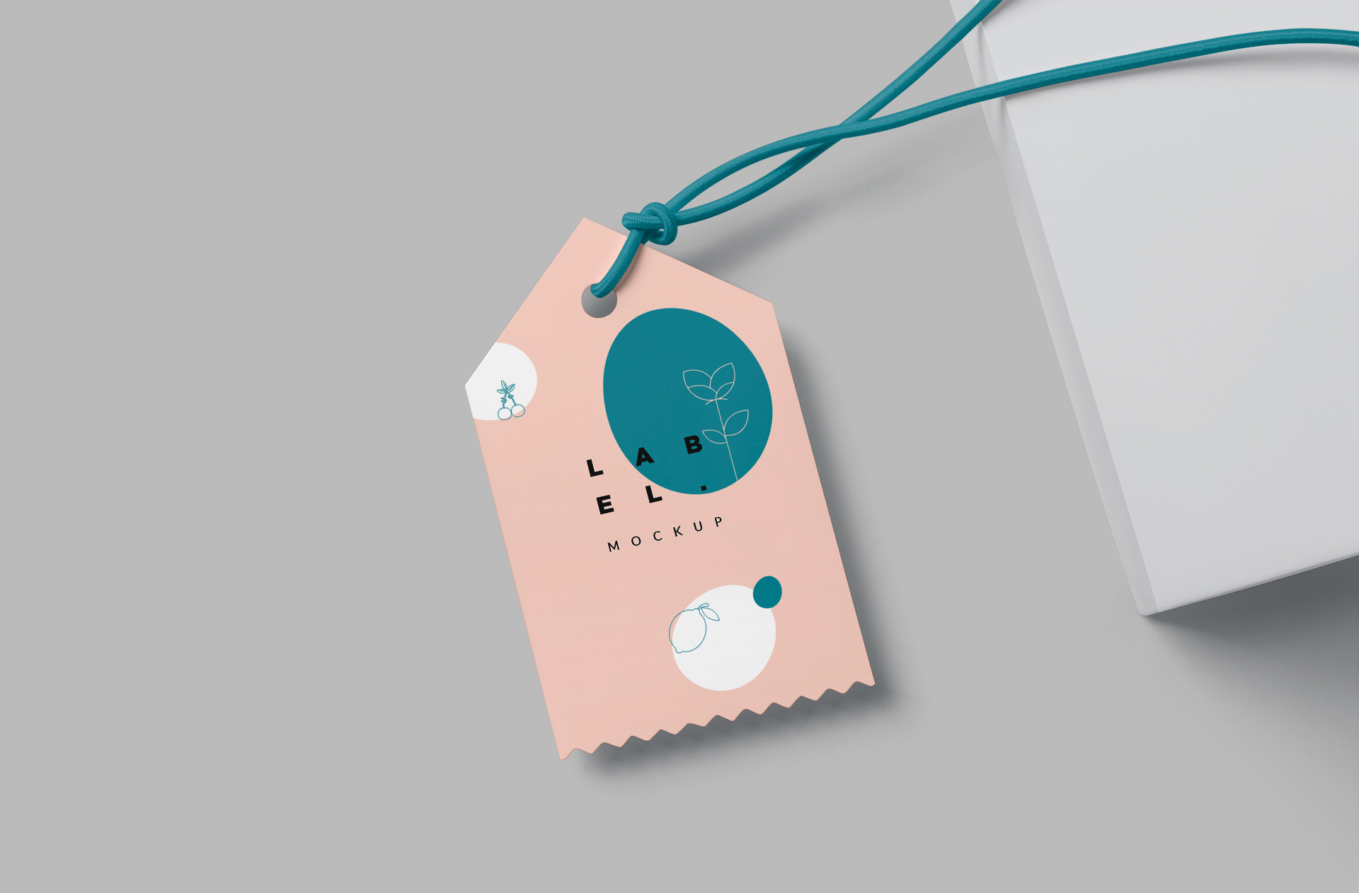 Minimalist Customizable Label Mockup for Packaging