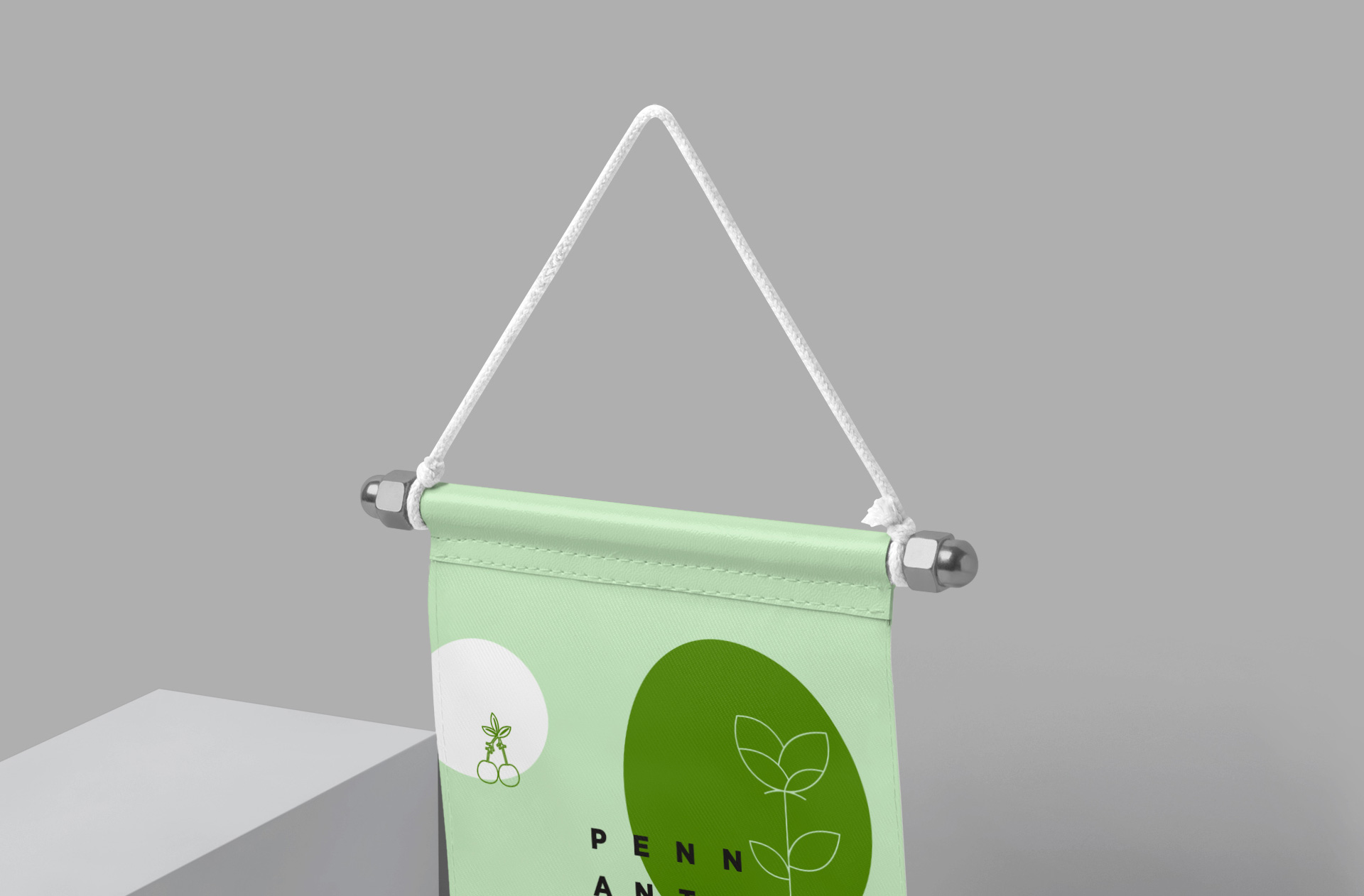 corporate branding pennant