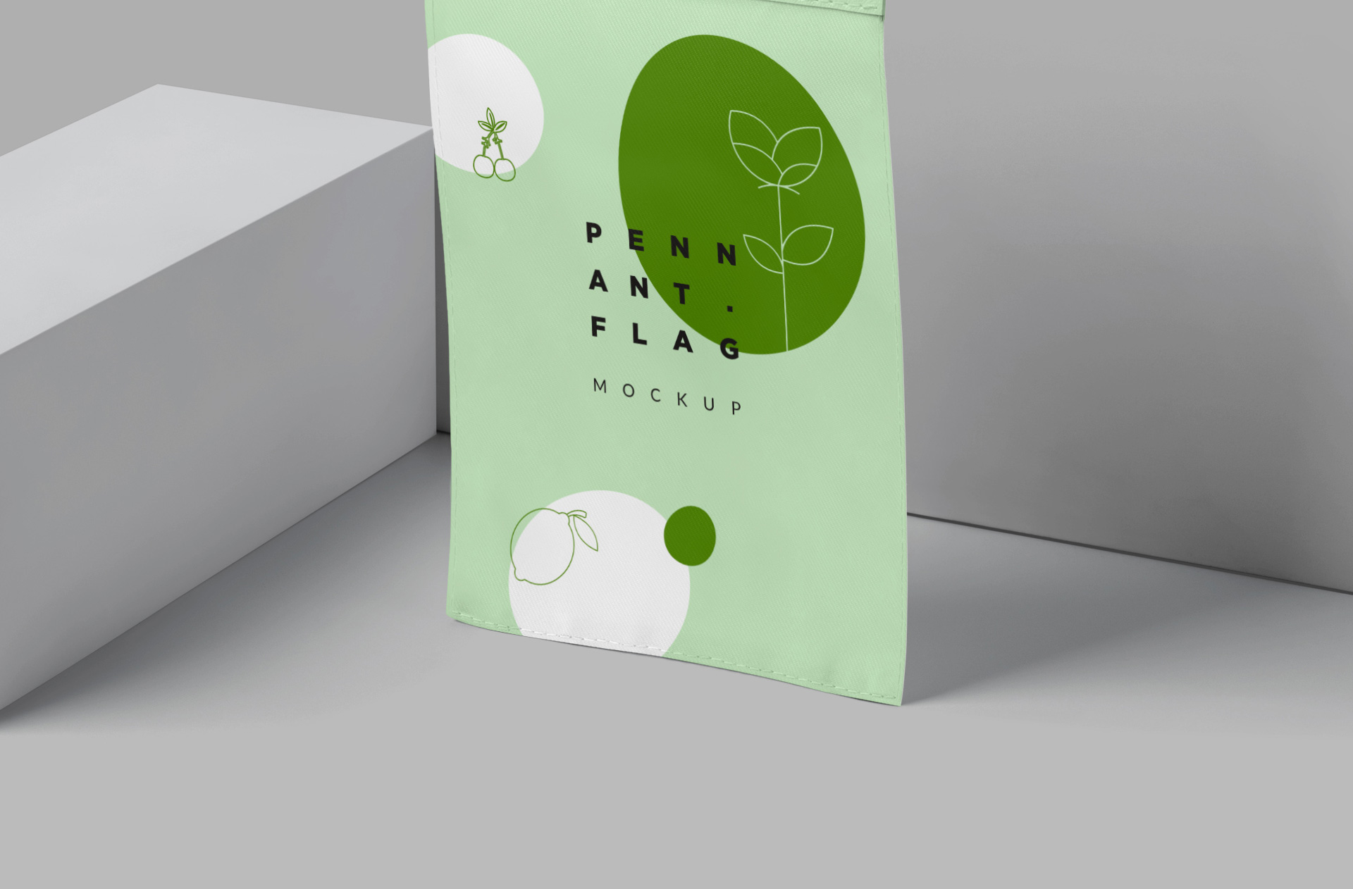 corporate branding pennant