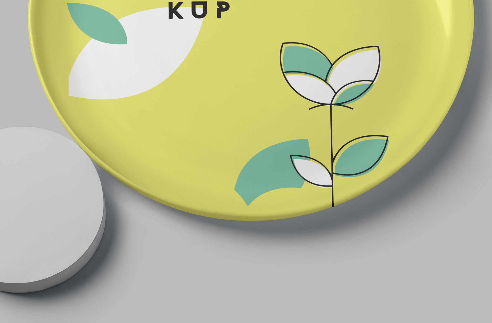 frisbee disk mockup