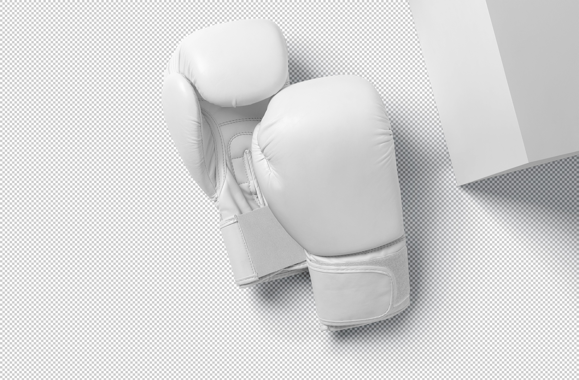 boxing gloves mockup
