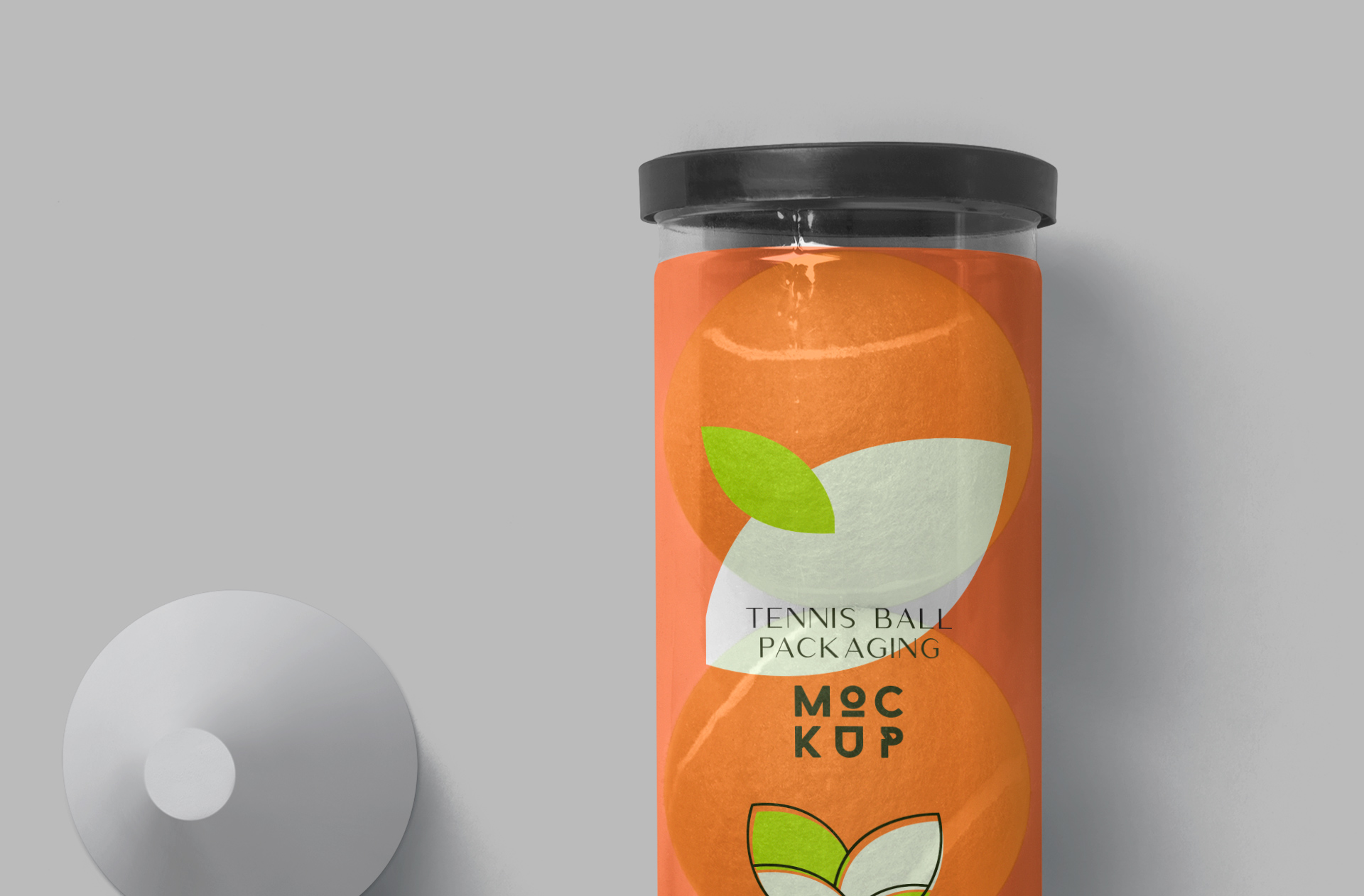 customizable packaging template