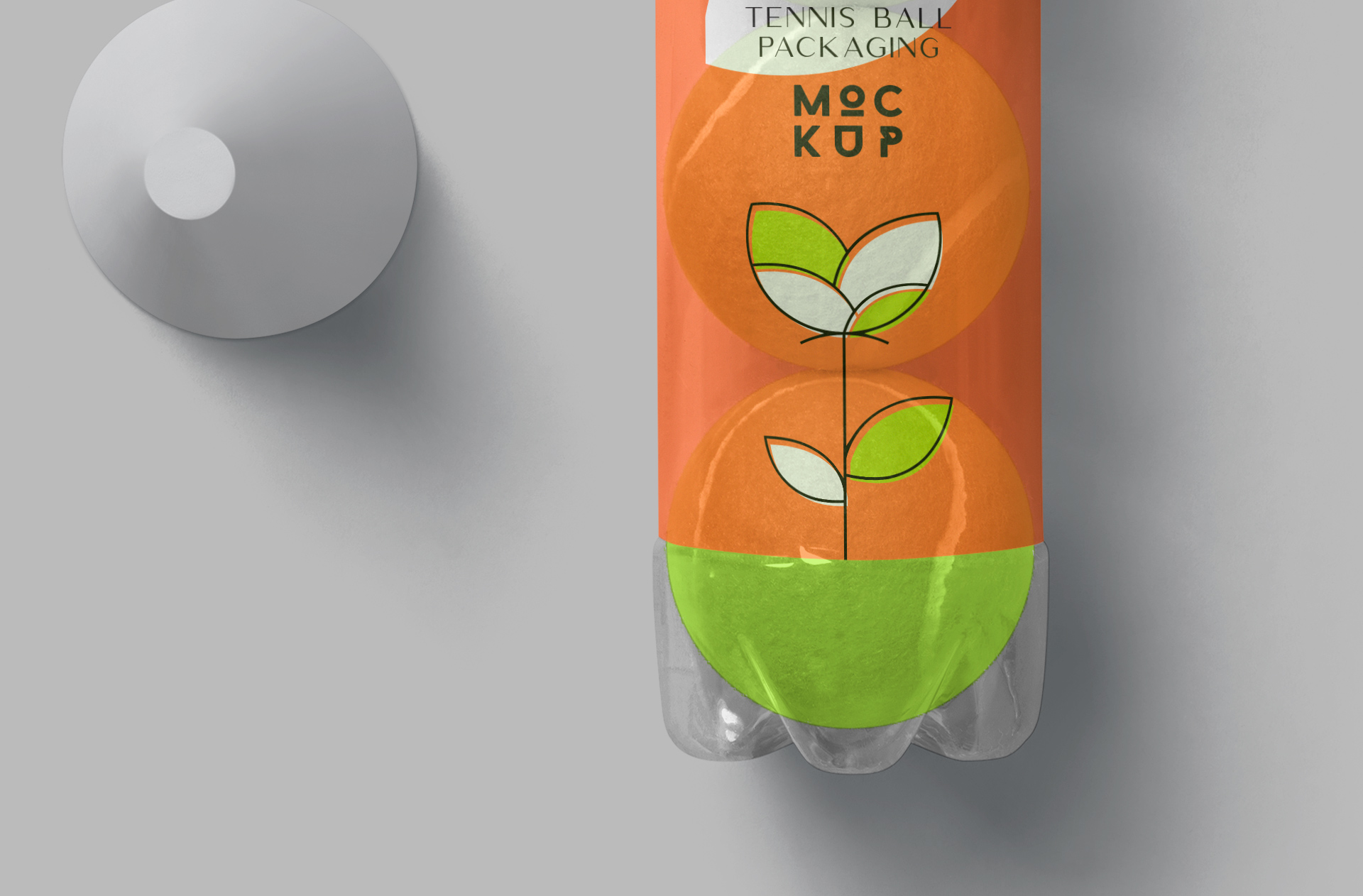 customizable packaging template