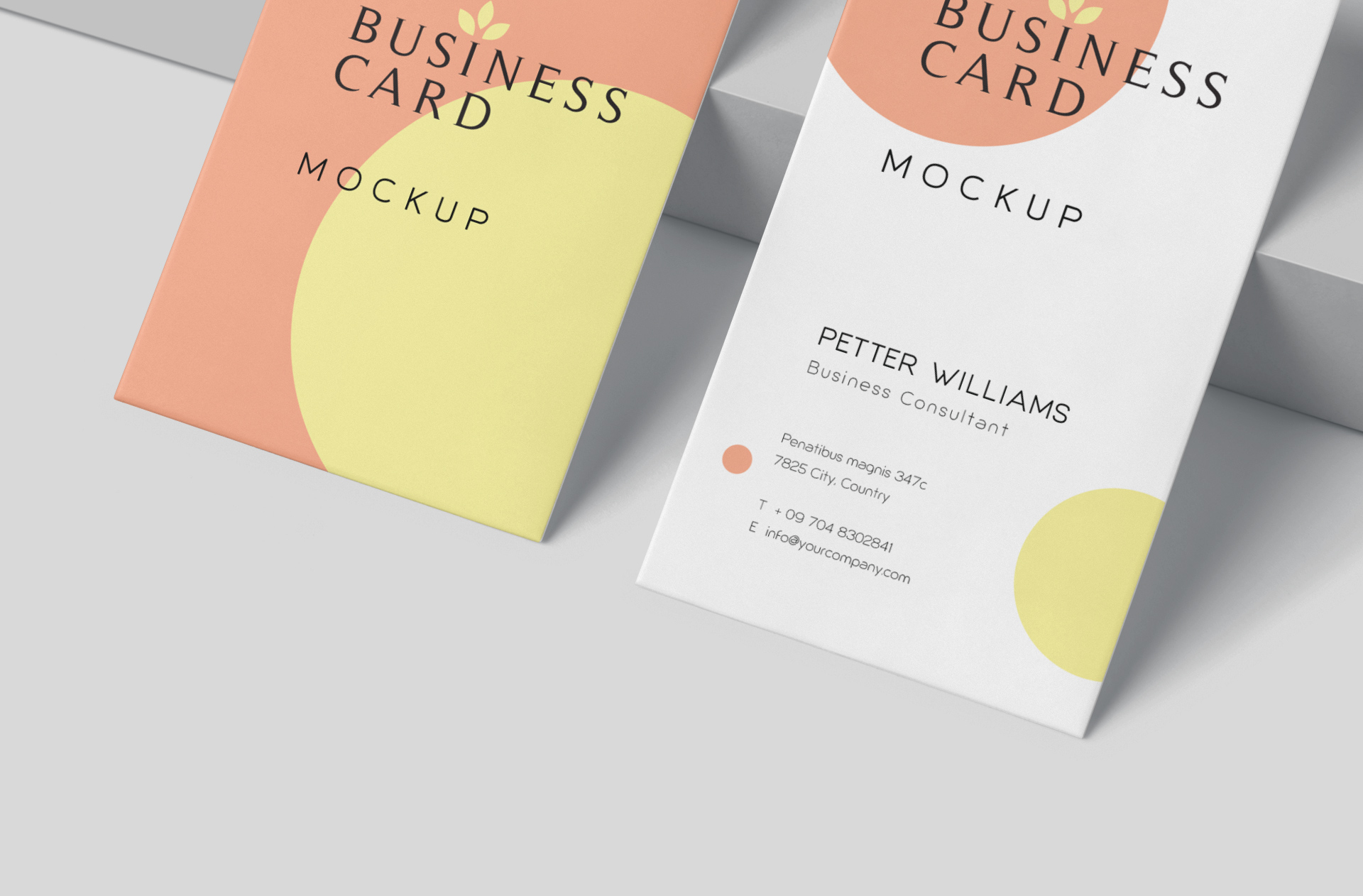 business card layout mockup