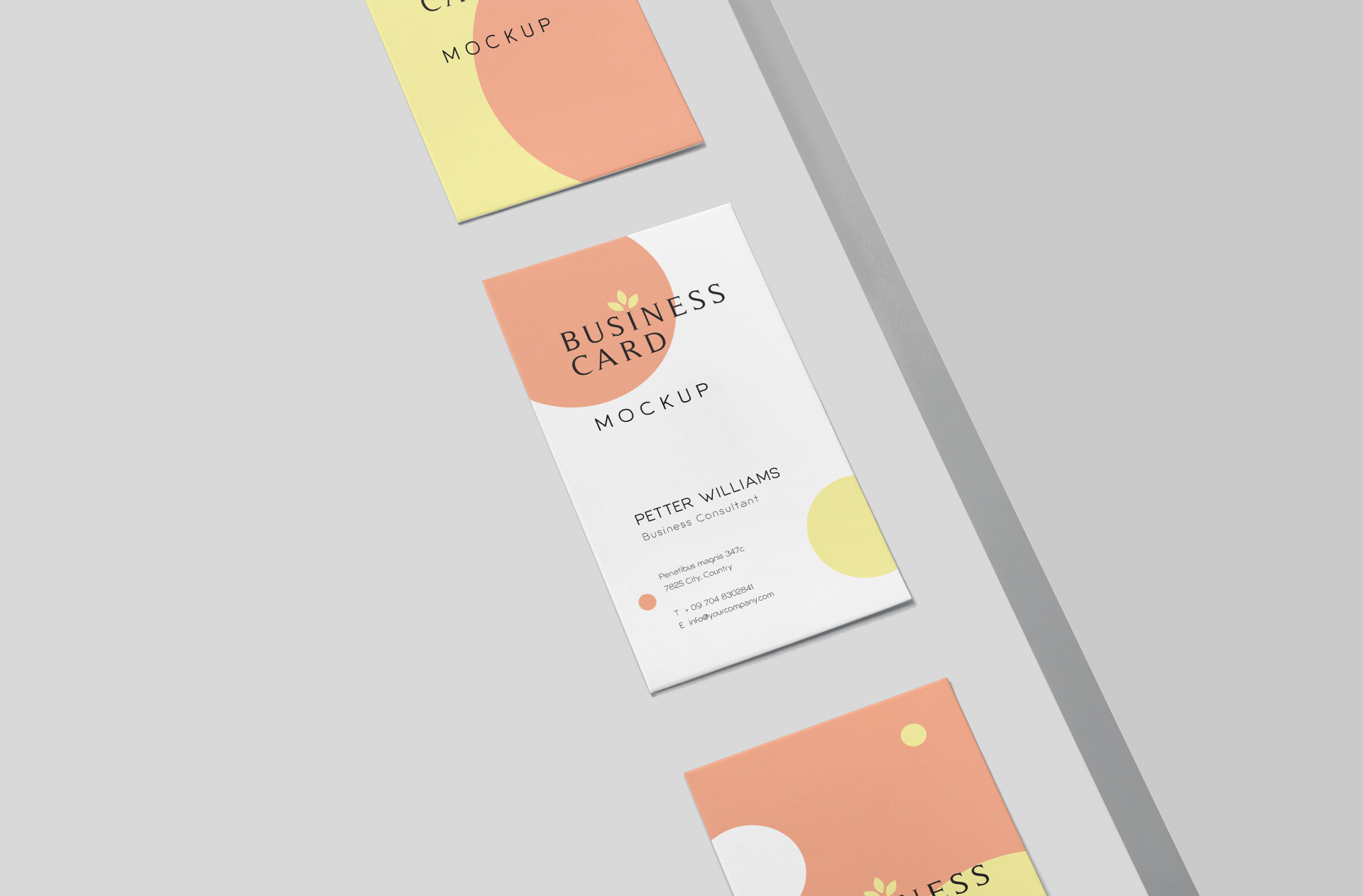 Minimalist Vertical Business Card Mockup Customizable PSD