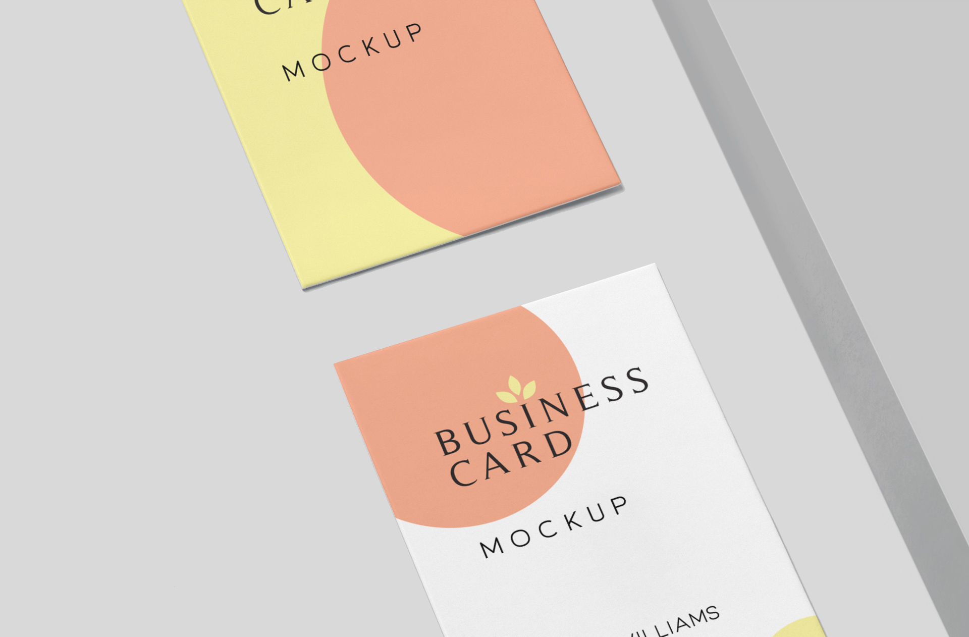 business identity showcase