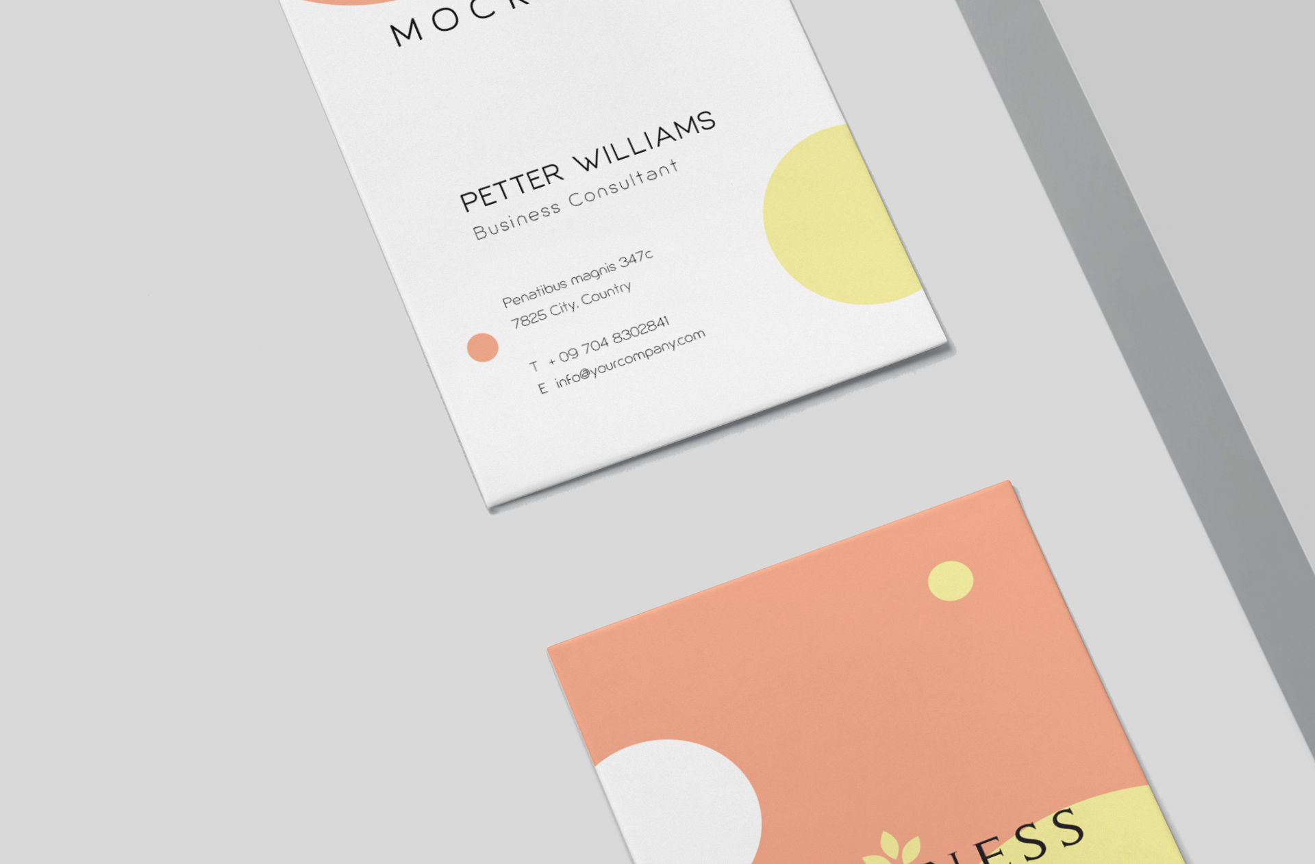 business identity showcase