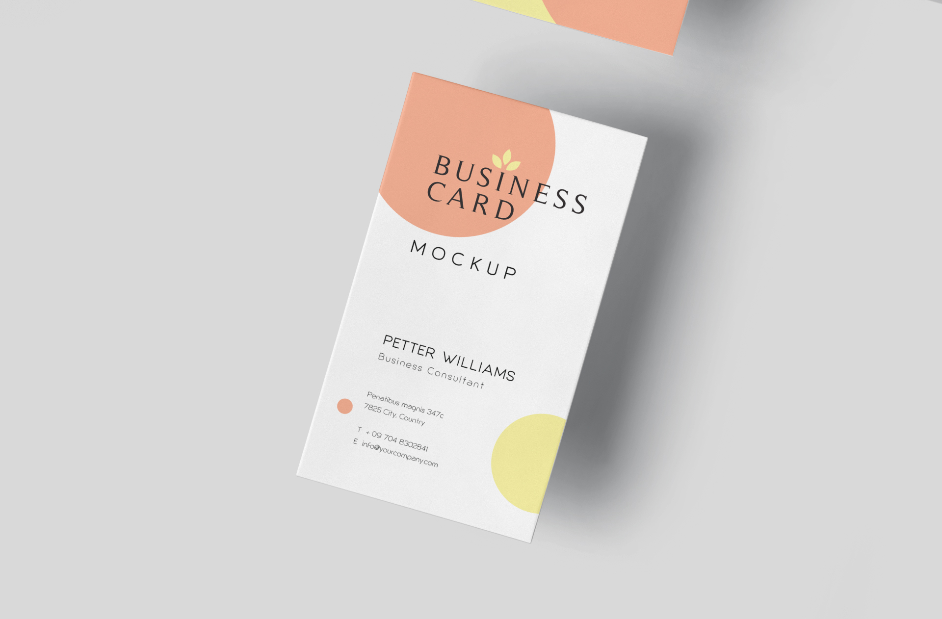 branding identity mockup