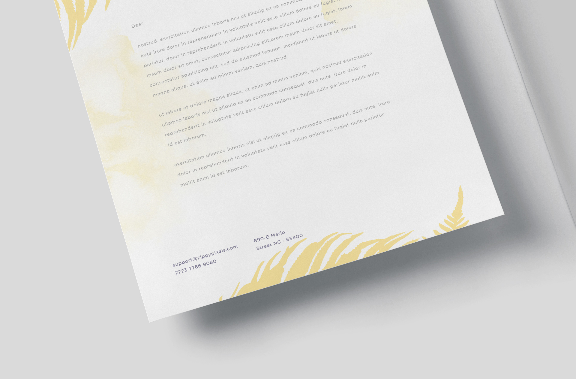 branding document PSD
