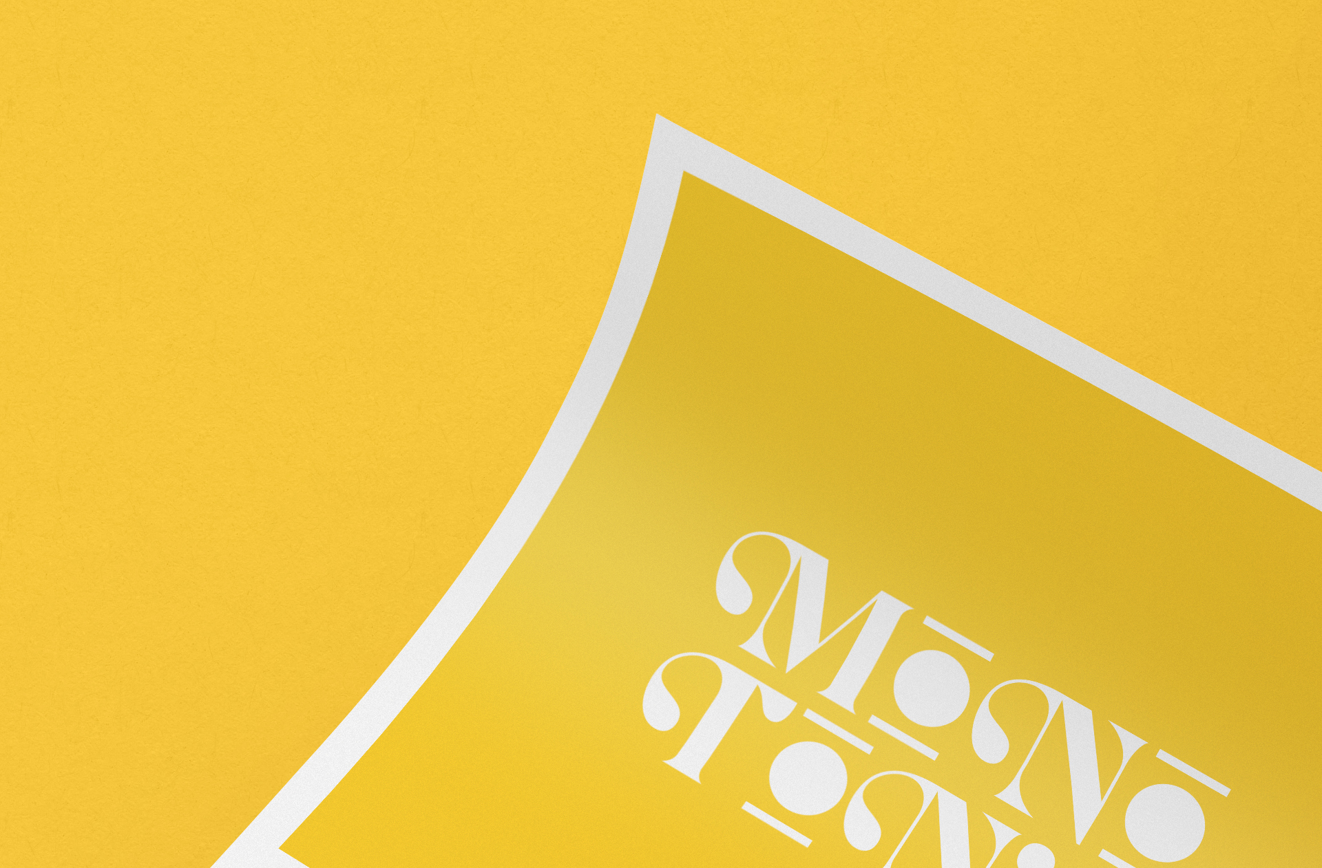 company identity paper mockup