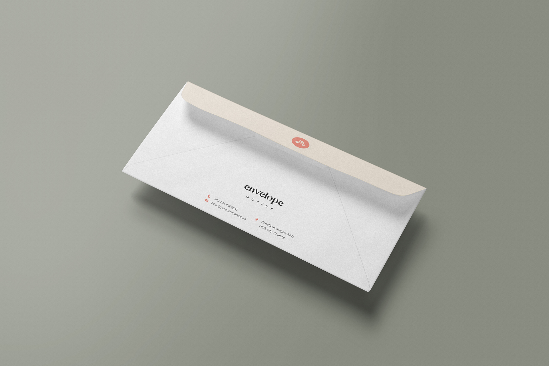 Minimal DL Envelope Back View mockup