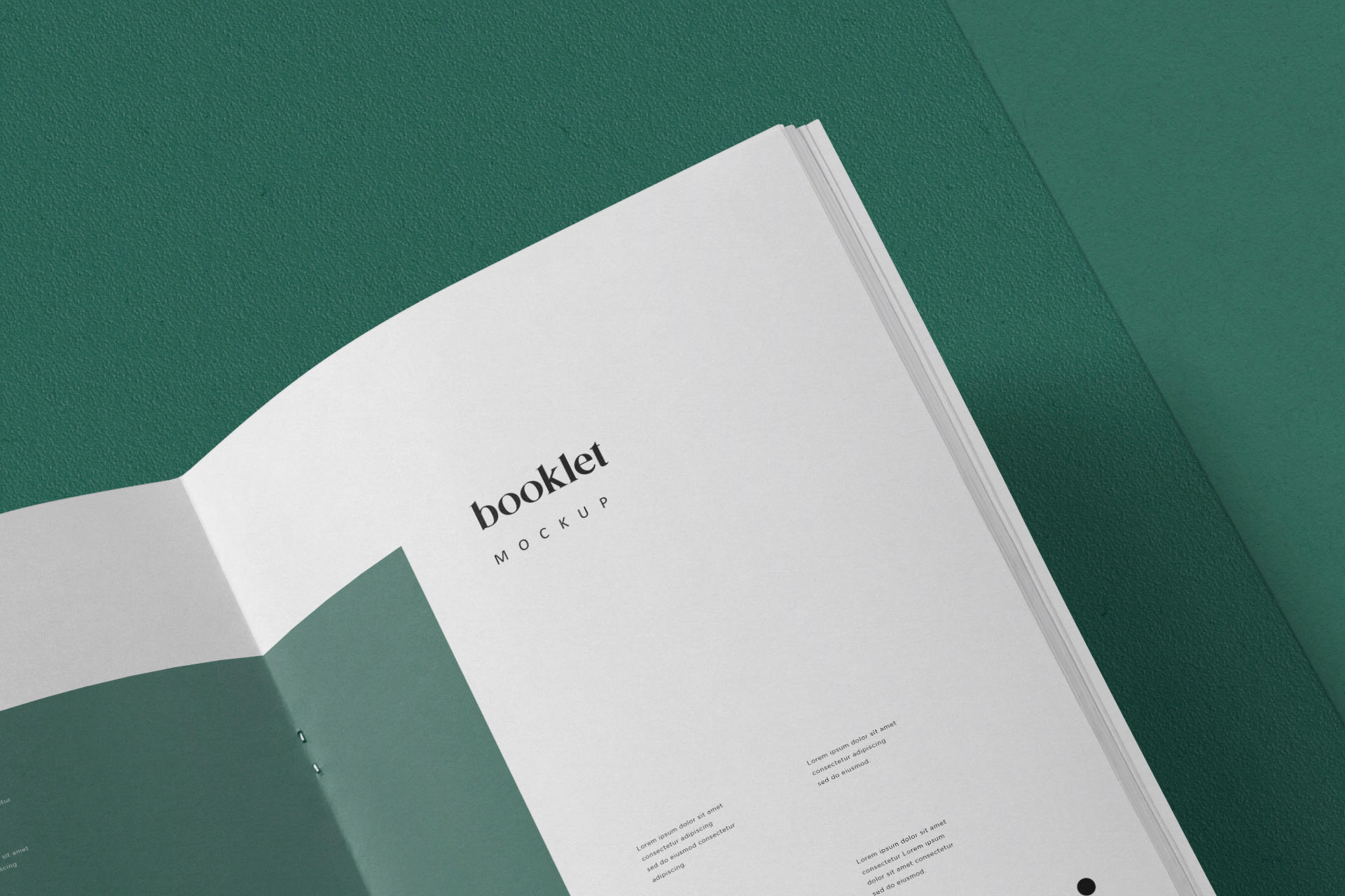 a5 booklet Mockup