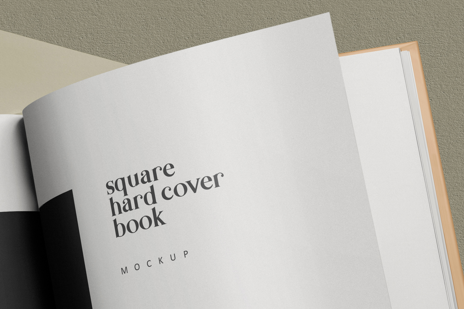 book mockup
