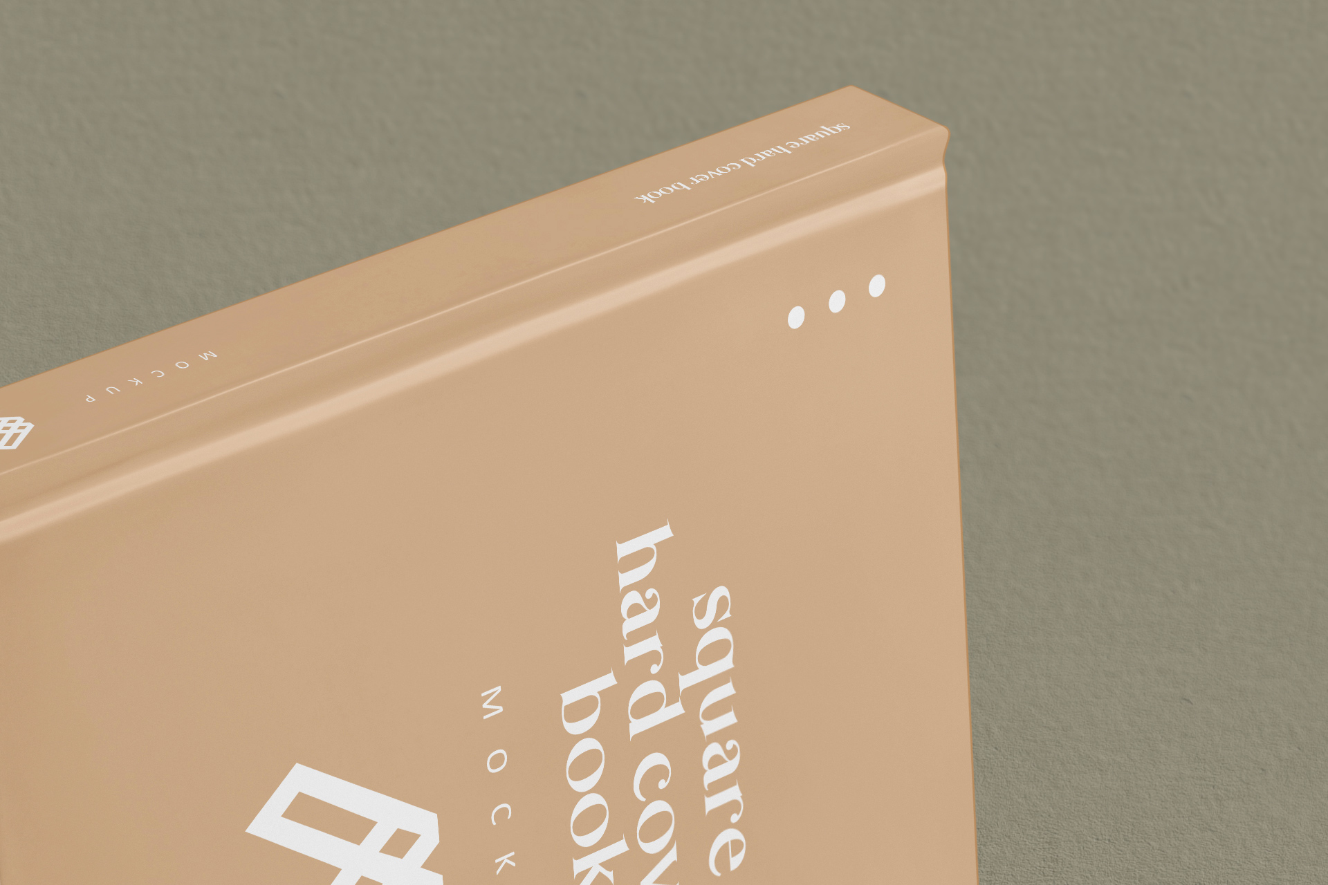 branding book mockup